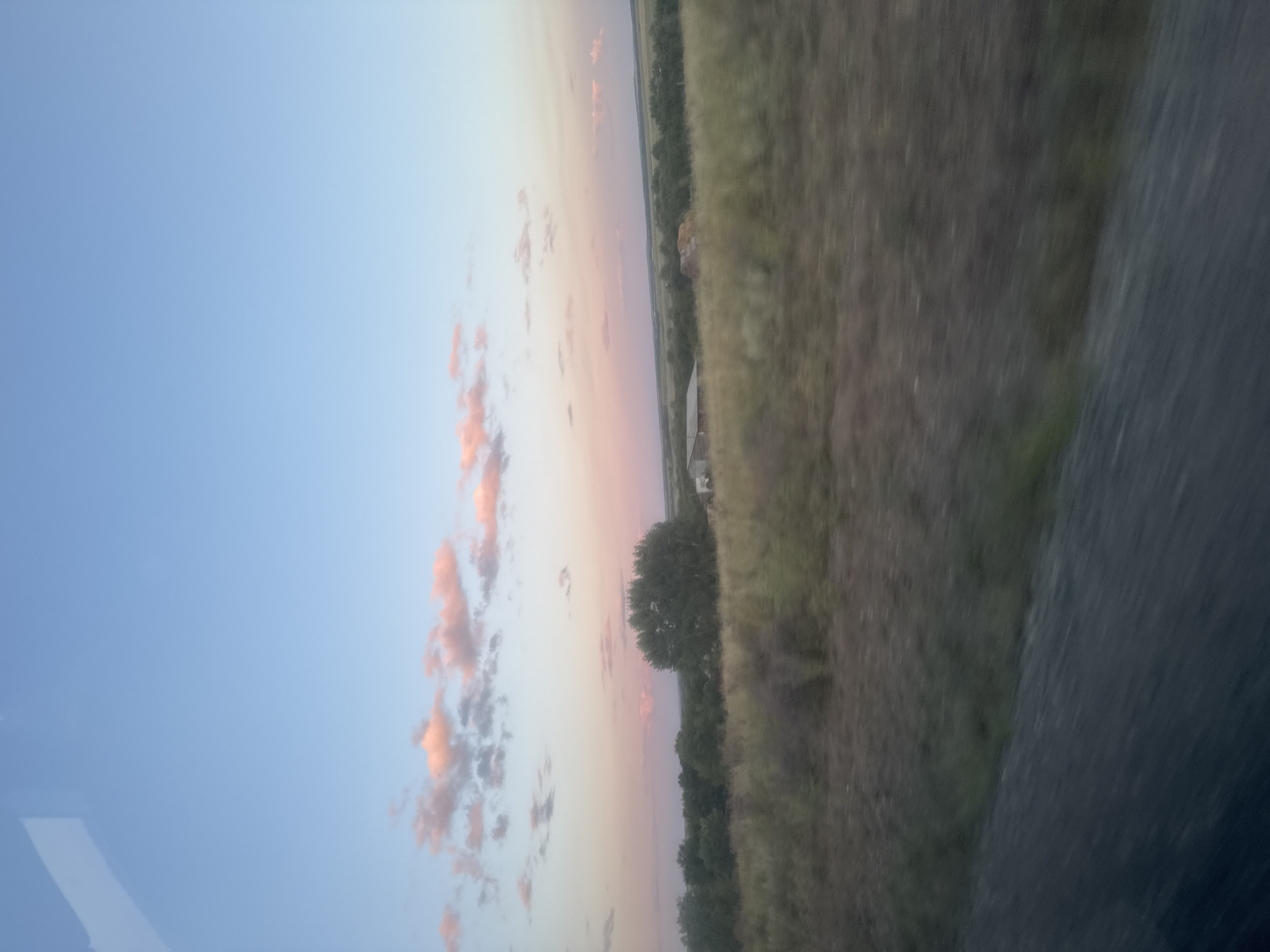 The image shows a rural landscape with a field in the foreground and a treeline in the background. The sky is a pale blue with scattered pink clouds, suggesting either dawn or dusk. There is a blurred indication of a road in the lower part of the image, implying the photo was taken from a moving vehicle. In the distance, there are some structures visible, possibly buildings or farm equipment, nestled within the trees. The overall impression is a serene, natural setting. This scene is not specifically identifiable as being in the city of Васильевка, Russia.