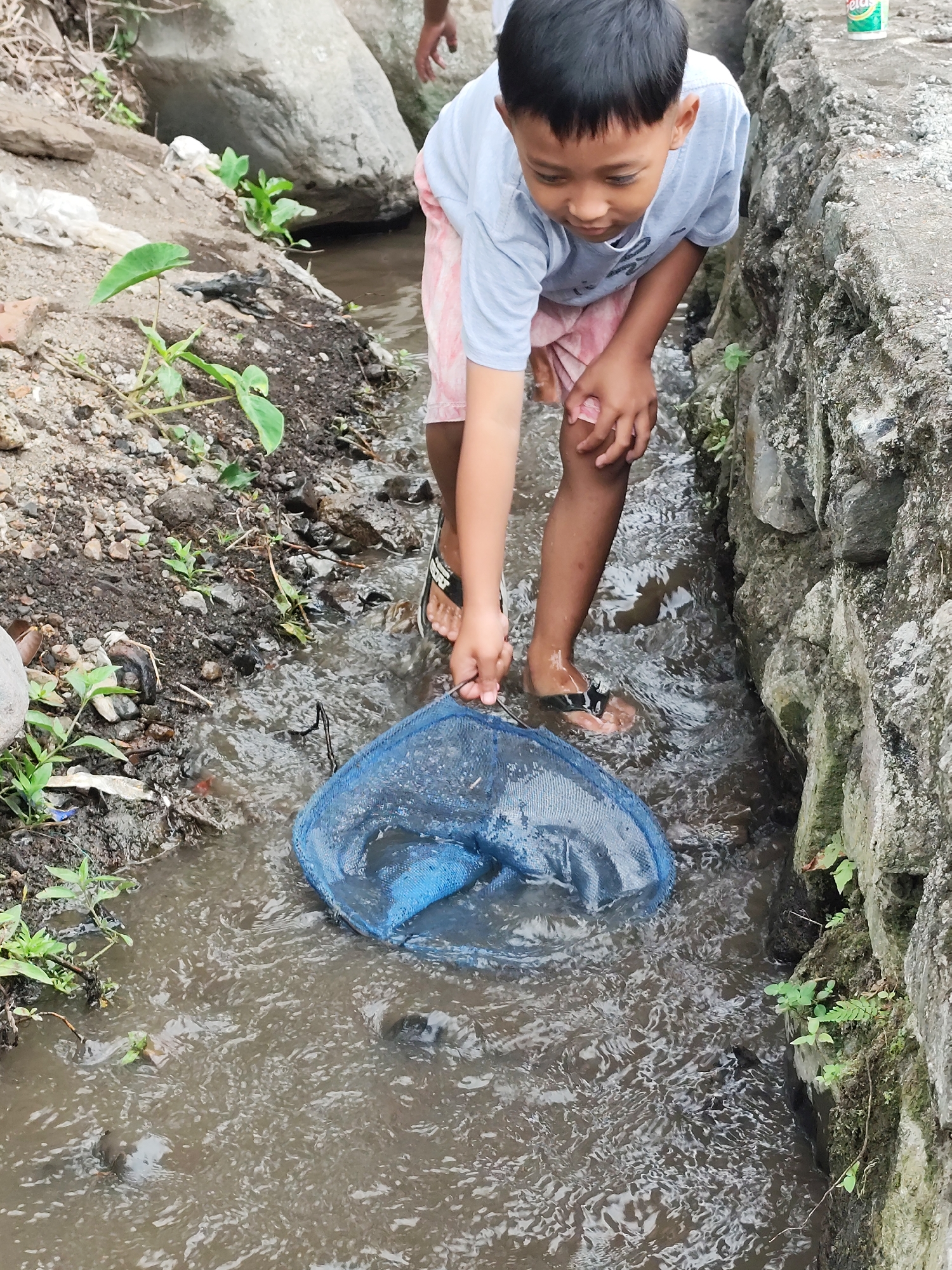 A young boy, likely of Indonesian descent, is shown from the knees down, wearing a light blue t-shirt and pink shorts, engaged in an activity within a shallow, muddy waterway. He is holding a blue fishnet, submerged in the water, and appears to be actively fishing. The waterway is bordered by rough, grey concrete on the right and a muddy, rocky bank with sparse vegetation on the left. The water is murky and appears to be flowing. In the background, large grey rocks and more vegetation are visible. The scene suggests a natural or semi-natural environment within a rural or semi-urban setting, potentially within the village of Jambewangi, Indonesia, given the context.