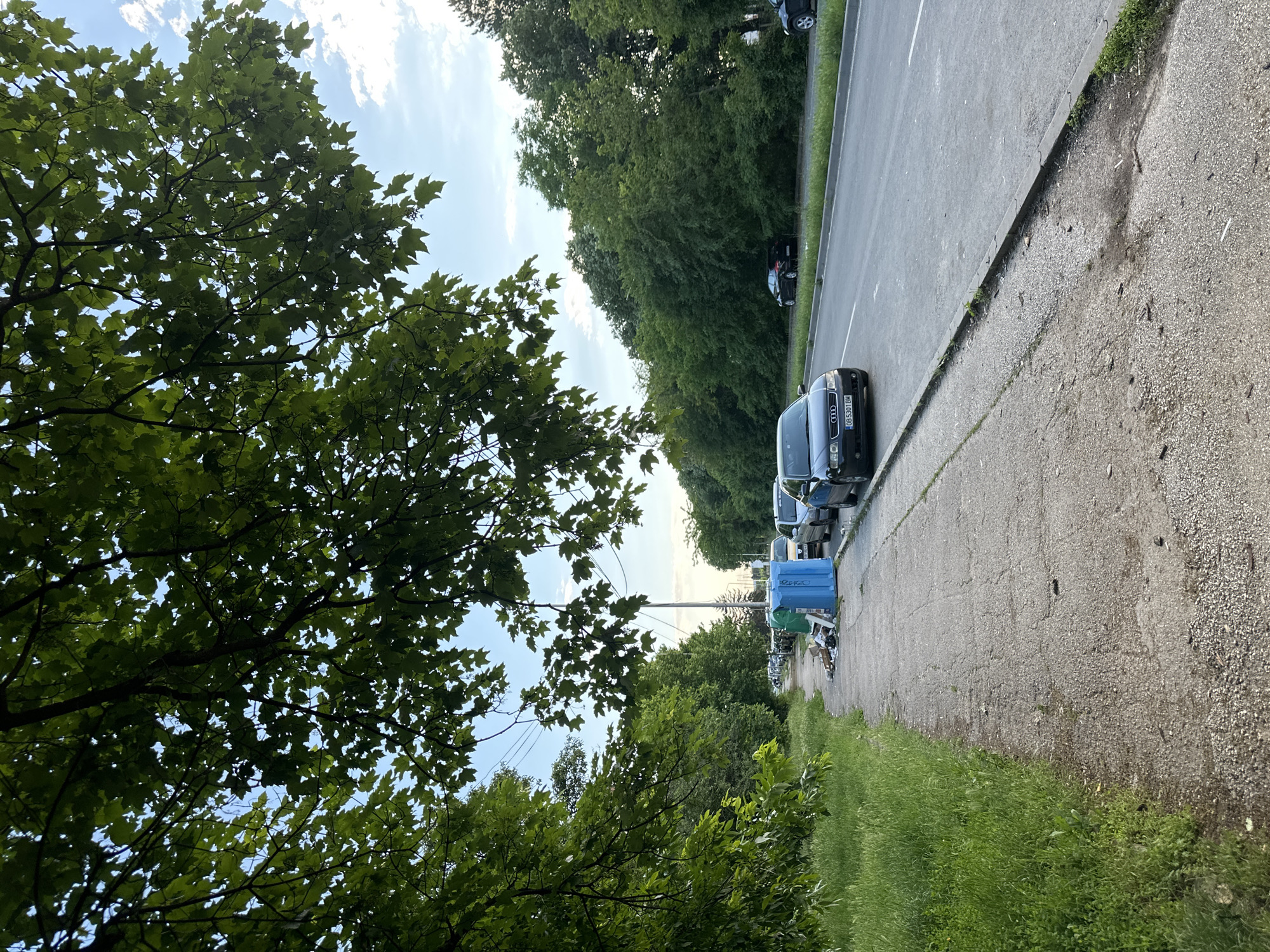 A sidewalk in Lovech, Bulgaria, is lined with parked cars. The sidewalk is concrete and has patches of grass. The road adjacent to the sidewalk is asphalt. Trees line the opposite side of the road. One blue and one green dumpster are on the sidewalk. A person is near the dumpsters.