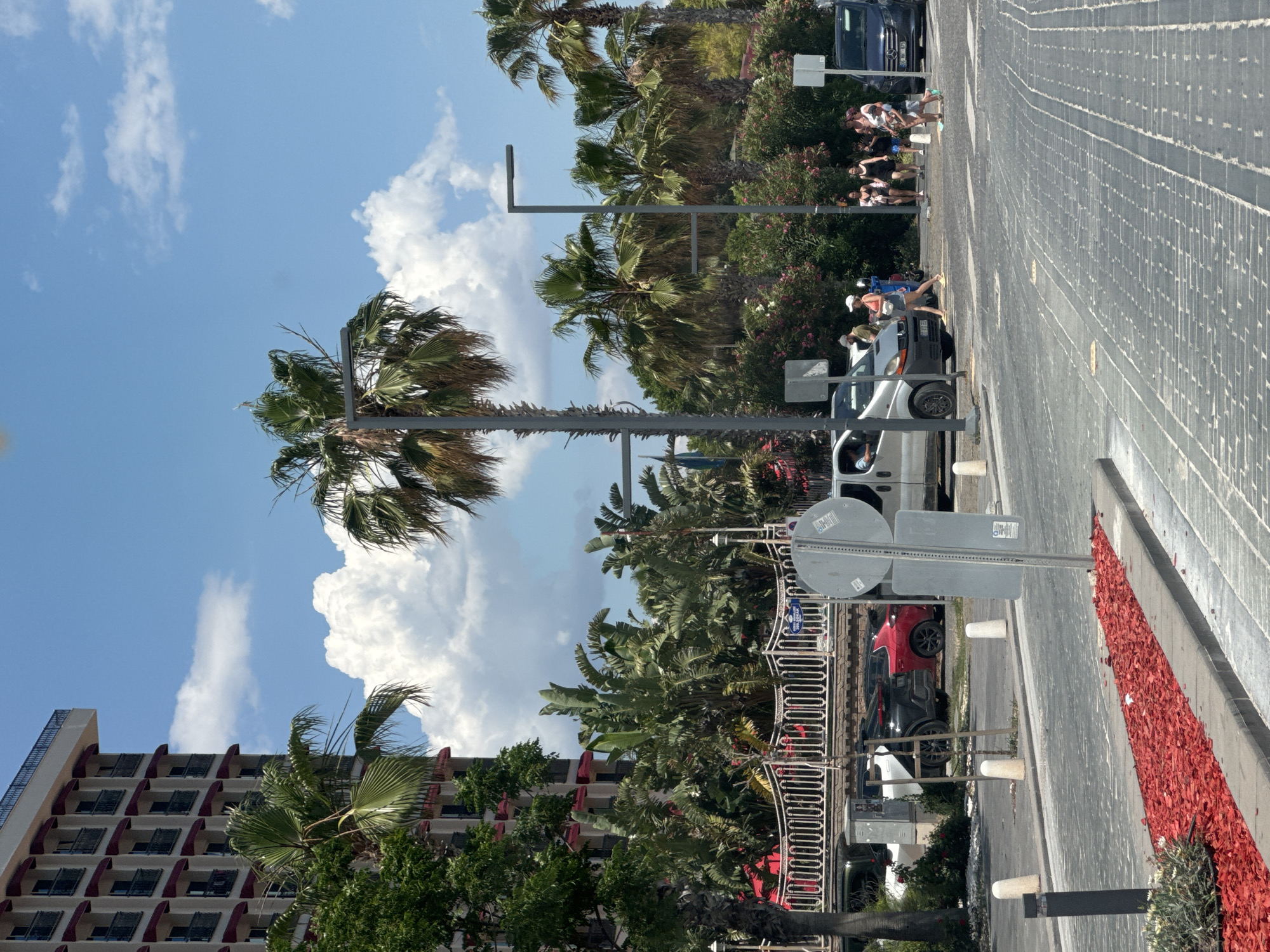 The image depicts a street scene in Konyaaltı, Turkey, characterized by palm trees and a mix of architectural styles. A tall, thin palm tree stands prominently against a backdrop of a building with multiple windows. Lush greenery, including trees and flowering shrubs, fills the space between the building and the street. A pedestrian crossing is visible with people walking across, and parked vehicles are interspersed with street furniture such as lamp posts and signs. A sidewalk is lined with a decorative strip of red material. The sky is bright blue, dotted with fluffy white clouds, indicating a sunny day.