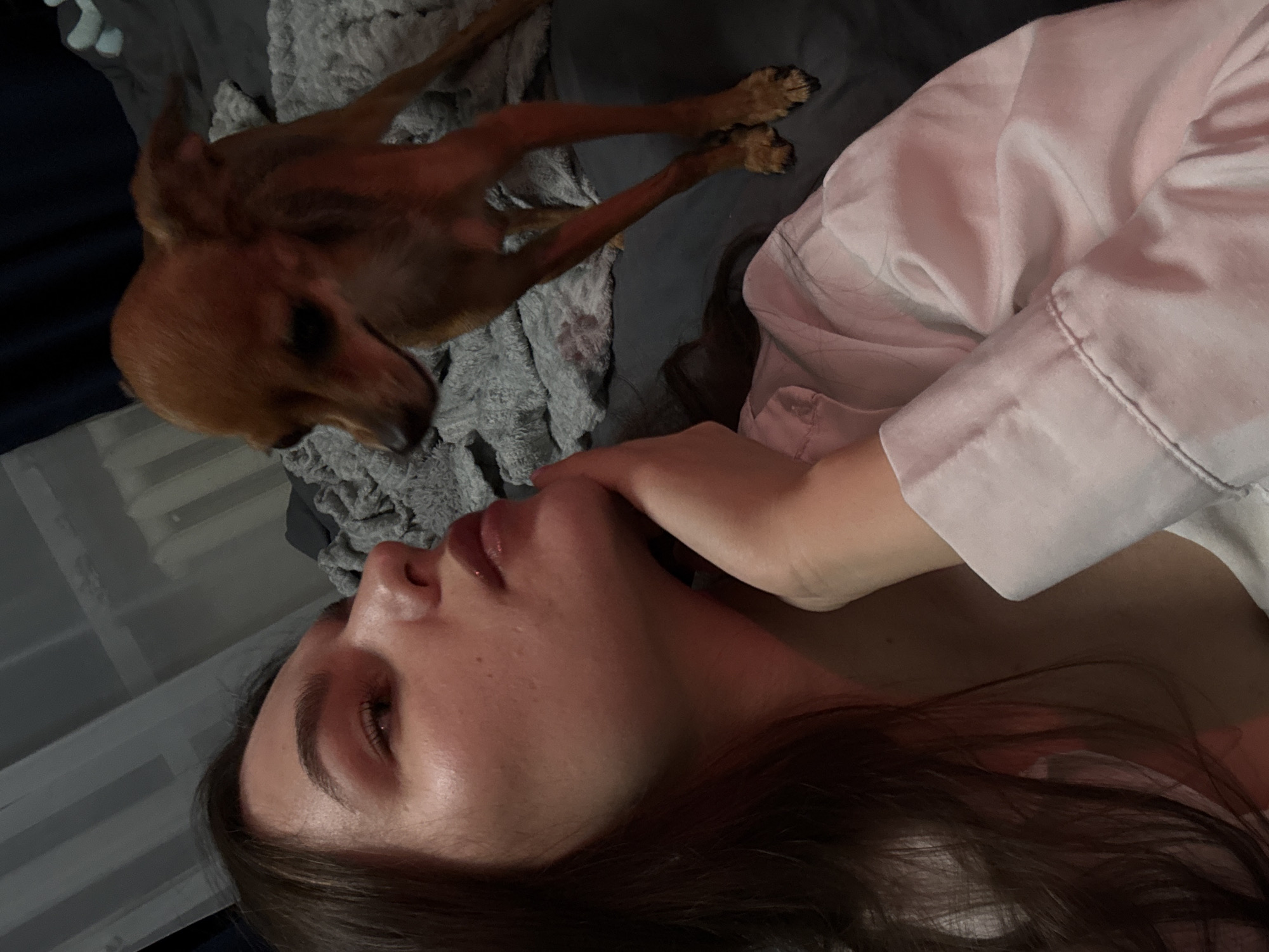 A young woman is lying on a bed, looking at a small brown dog. She is wearing a white shirt. The dog is standing on the bed and looking at the woman. The bed is covered with gray and white blankets. The room appears to be a bedroom. The image was taken in the city of Chaikovsky, Russia.