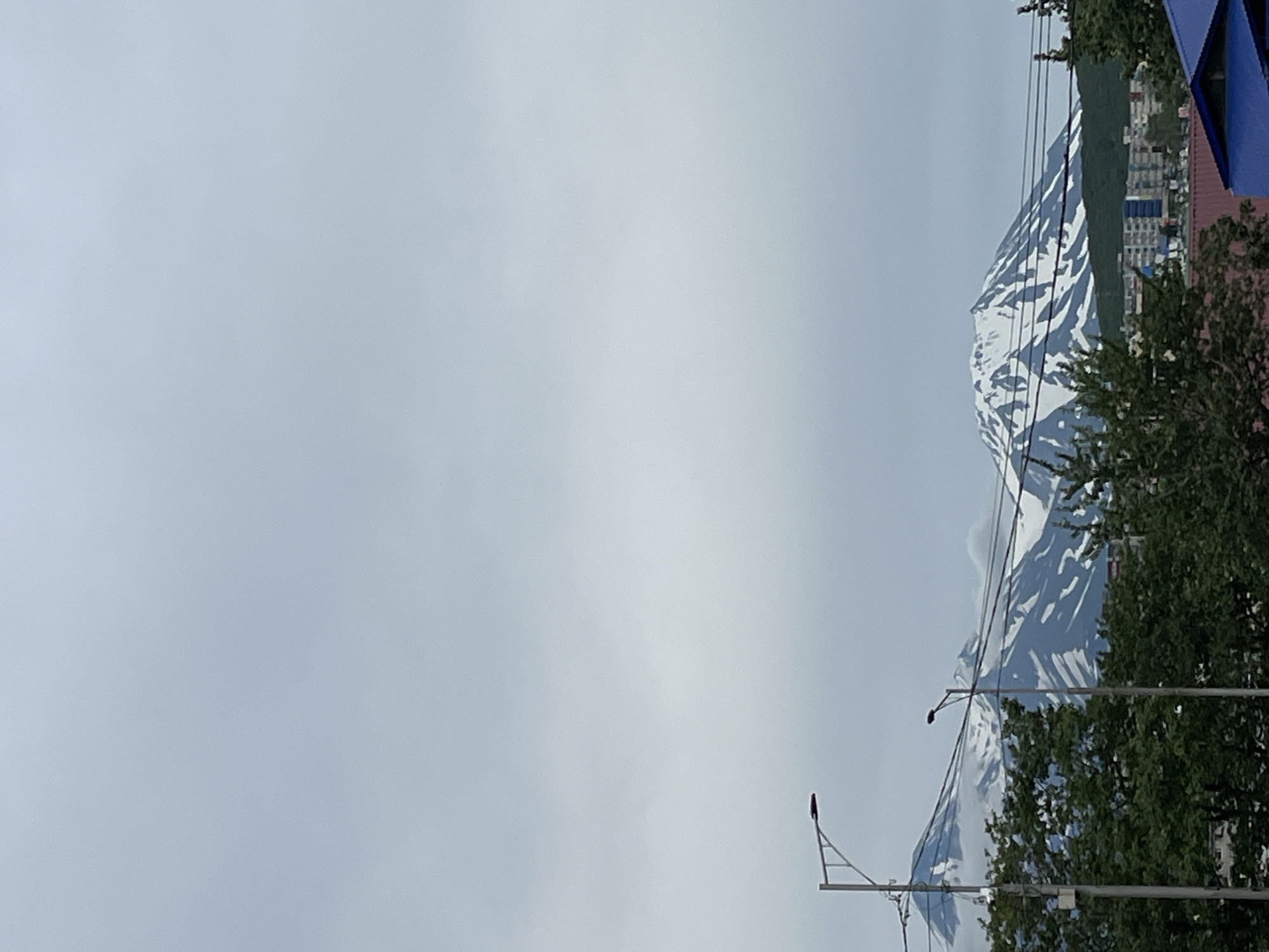 The image shows a view of the Avachinsky and Koryaksky volcanoes in Petropavlovsk-Kamchatsky, Russia. The volcanoes are snow-capped and appear in the background under a cloudy sky. In the foreground, there are several trees, streetlights, and some buildings. One building in the lower right corner has a blue roof. The scene appears to be taken from a residential area or a street in the city.