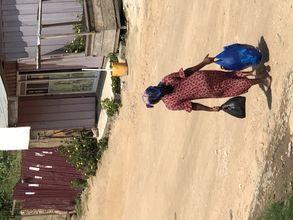 This image depicts an outdoor scene in Ngleshi Amanfro, Ghana, under bright daylight. A female individual, observed from behind, walks right of center on an unpaved, light-brown dirt path, moving away from the camera. She wears a red patterned long dress with ruffled sleeves, a blue and black patterned headscarf, and light-colored sandals. She carries a black plastic bag in her left hand and a blue plastic bag, containing translucent objects, in her right hand. The path exhibits minor debris.
To the left of the path, a corrugated reddish-brown metal fence adjoins a concrete column, with green shrubs and small yellow flowers growing at its base. Denser green vegetation is visible further left, above the fence line. To the right, a building with light purple corrugated metal siding features a white-framed glass door adorned with multiple decals. A yellow bucket holding a white pole stands upright on a concrete step in front of the door. Adjacent to the building on the right is a rustic, unfinished wooden market stall structure with a simple roof frame. Small clusters of yellow flowers are also present along the building's foundation and near the wooden stall. The scene is brightly illuminated, casting distinct shadows.