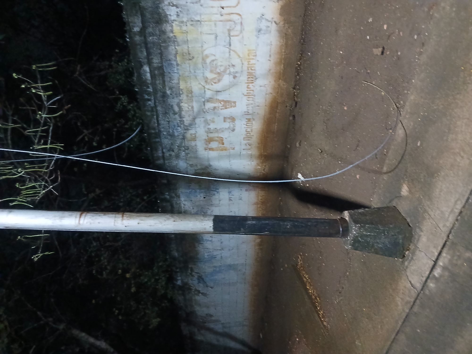 This nighttime image depicts an outdoor scene in Altagracia, Venezuela, showing an urban or semi-urban environment. A prominent metal lamp post stands slightly left of the image's center in the foreground. Its upper section is painted a light grey, and the lower section is dark grey or black, with visible rust or wear at the transition. The post is anchored to a weathered, roughly octagonal concrete base exhibiting cracks and discoloration. A thin, light-colored cable or wire hangs from the upper portion of the lamp post, curving downwards to rest on the unpaved ground below.
Behind the lamp post, a concrete block wall extends horizontally across the middle ground. The wall's original light-colored paint is heavily faded and discolored, with a noticeable brown stain along its base and patches of grey and blue. Distinct, faded orange-brown graffiti is present on the wall, spelling "PCV" alongside a stylized rooster emblem. Below this, the slogan "La Opción Revolucionaria" (The Revolutionary Option) is also visible in faded orange-brown text.
The ground in the foreground consists of a concrete sidewalk on the left, transitioning into an unpaved dirt area around the lamp post and extending to the wall. This dirt area contains small stones and debris. Dark trees and foliage are visible in the background, above and behind the wall, with several long, thin, light-green tendrils hanging from branches directly above the lamp post. The scene is dimly lit, casting shadows from the lamp post onto the wall and ground, suggesting an external light source from the right. No individuals or specific actions are depicted within the scene.