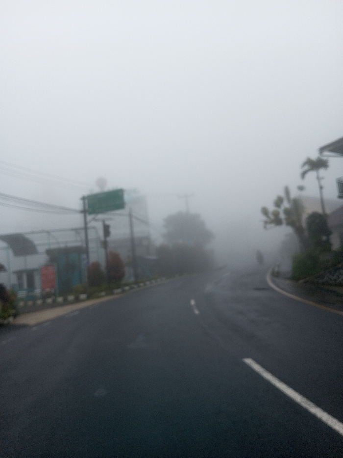 This image depicts a fog-laden street scene in Neerveli, Sri Lanka. Dense, white fog significantly reduces visibility, obscuring the horizon and rendering distant objects indistinct. The foreground features a dark, wet asphalt road that curves gently to the right. A continuous white line marks the right edge of the visible road, and a broken white center line is faintly discernible.
On the left side of the road, a curb is lined with alternating dark and light bollards or blocks. Behind this, low-lying reddish-brown shrubs and green foliage are present. Further back, utility poles with multiple overhead lines extend across the frame. Buildings include a structure with a white upper section and a darker lower section (possibly blue), an awning, and two indistinct red rectangular signs. A large green directional sign is mounted on a pole, with a circular red sign partially visible above it.
On the right side of the road, a yellow line borders the curb or shoulder. Beyond this, a sloped bank with visible rocks or concrete supports dense green foliage, including palm-like trees. A multi-story building with a light-colored facade is partially visible behind the trees. In the far distance, on the right side of the road, an extremely blurred, dark silhouette, consistent with a person on a motorcycle, is faintly observed moving away from the viewer. No other individuals or specific actions are clearly identifiable due to the heavy fog and image blur.