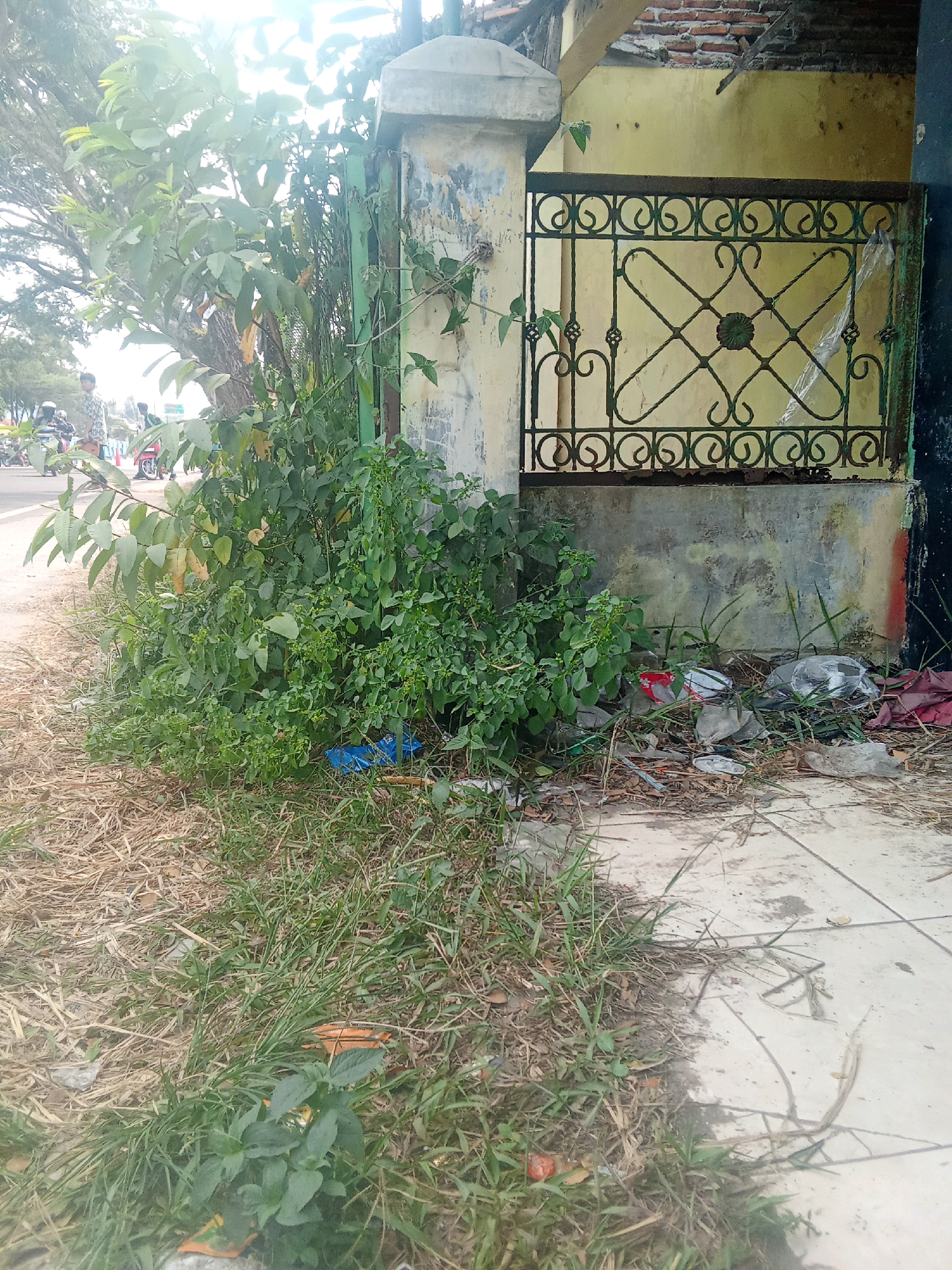 The image depicts an outdoor scene in Warunggunung, Indonesia, featuring a sidewalk area next to a road and a property fence. A large bush with green foliage dominates the foreground, obscuring part of the fence. The fence itself is made of dark green wrought iron with an ornate pattern, attached to a concrete pillar and a yellow-walled structure. Scattered on the ground near the bush and sidewalk are various pieces of litter, including plastic bags, wrappers, and what appears to be fabric. Behind the bush and fence, a tree with broad leaves is visible, and beyond that, a road with a few motorbikes and people can be seen. The overall impression is one of an urban or semi-urban environment where nature and infrastructure are in close proximity, with evidence of littering.