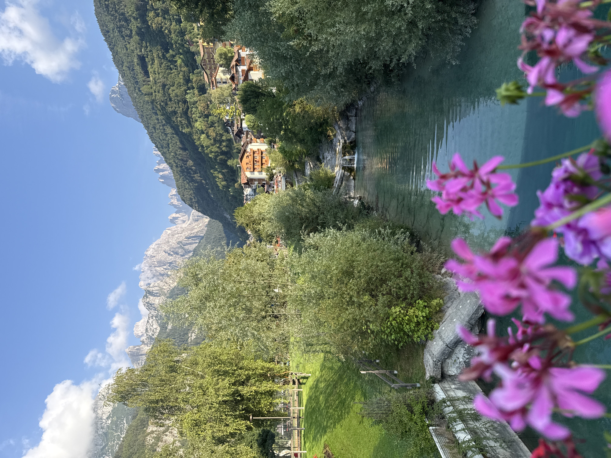 This is a vertical, eye-level, outdoor photograph taken in Molveno, Italy. In the foreground, out-of-focus pink and purple flowers are positioned in front of a clear, turquoise river. The river flows from left to right, with a small waterfall cascading over rocks in the middle ground. To the left of the river, a well-maintained green lawn is visible, with a fence and trees. Beyond the lawn, a cluster of buildings with terracotta roofs, characteristic of an Italian mountain town, is nestled on a hillside. In the background, rugged, grey mountain peaks dominate the skyline, with some peaks appearing snow-capped. The sky is clear and blue with a few scattered white clouds. The lighting suggests it is either morning or late afternoon. No people are visible in the image.