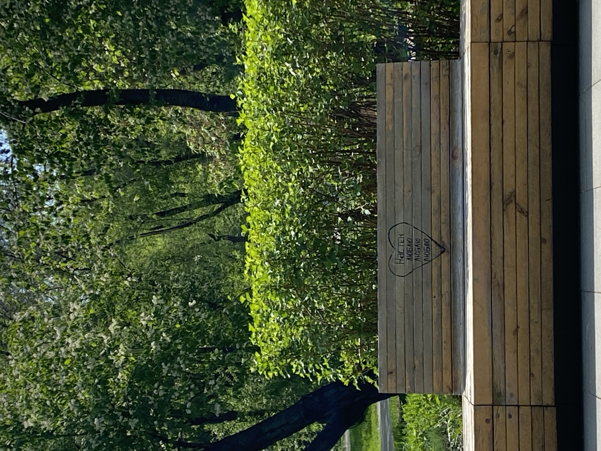 The image shows a park scene in Yekaterinburg, Russia, featuring a wooden bench. The bench is constructed of light and dark wood planks arranged vertically. An inscription within a heart shape reads "Настек люблю люблю люблю", indicating someone named Nastya is loved. The bench sits on a light grey concrete surface next to a green, dense shrubbery border and a lush green park with trees extending into the distance. A tree branch is visible in the lower portion of the frame, adding depth to the shot. The lighting suggests it is daytime with relatively even light distribution. No people are present in the frame.
