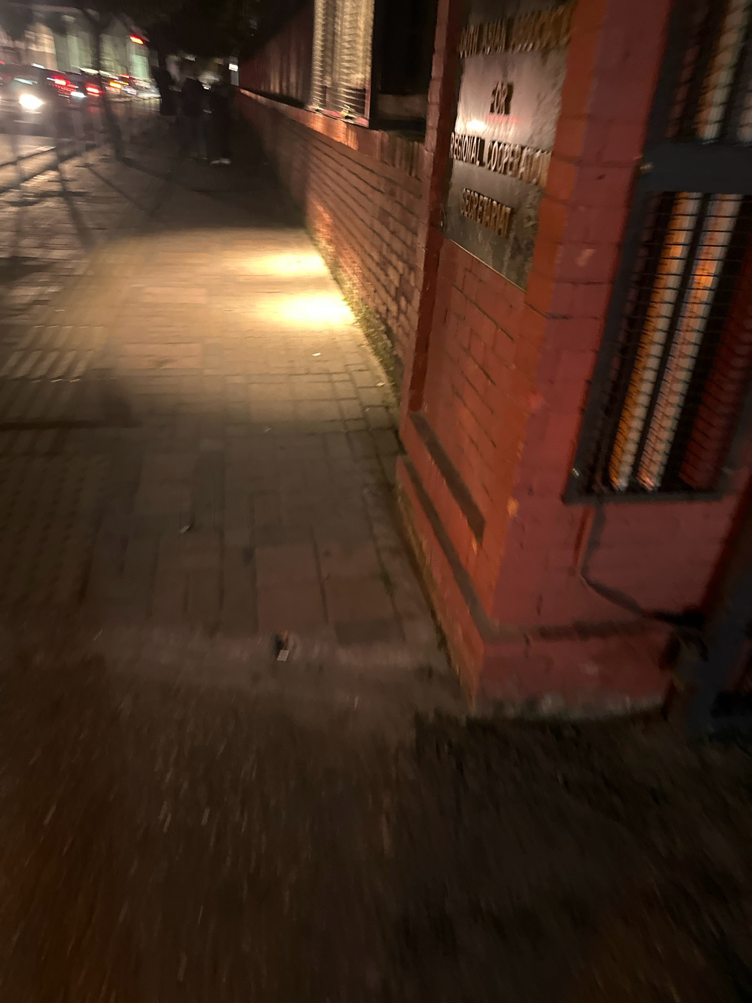 The image captures a dimly lit street scene in Kathmandu Metropolitan City, Nepal. A brick wall with a sign indicating "SOUTH ASIAN ASSOCIATION FOR REGIONAL COOPERATION SECRETARIAT" runs along the right side of the frame. The sign is partially obscured by a metal grate. The sidewalk in front of the wall is illuminated by overhead lighting, casting long shadows. On the left side of the image, vehicles with headlights on are visible, suggesting traffic on the street. Silhouettes of people are present on the sidewalk, blurred due to motion. The overall impression is of an urban environment at night, possibly a commercial or governmental area.