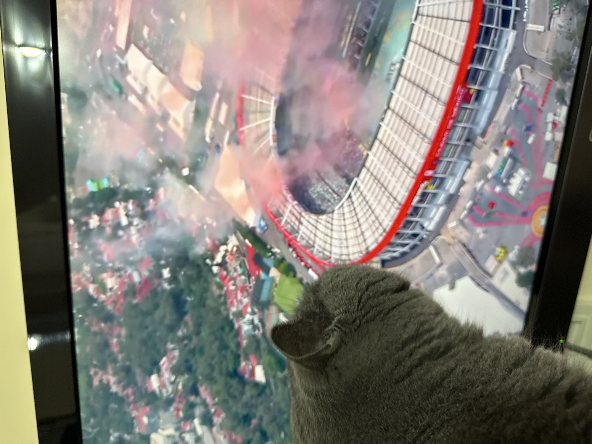 The image shows a gray cat from behind, its head turned to the right, looking at a television screen. The television displays an aerial view of a large stadium with red accents and a checkered seating pattern, surrounded by a city. Pinkish-red smoke is visible within and around the stadium, suggesting a large event. The surrounding city appears densely populated with buildings and greenery. There are no specific landmarks visible that would allow for the identification of Plovdiv, Bulgaria. The cat is positioned in the foreground, partially obscuring the bottom left corner of the screen. A small green indicator light is visible on the edge of the television.