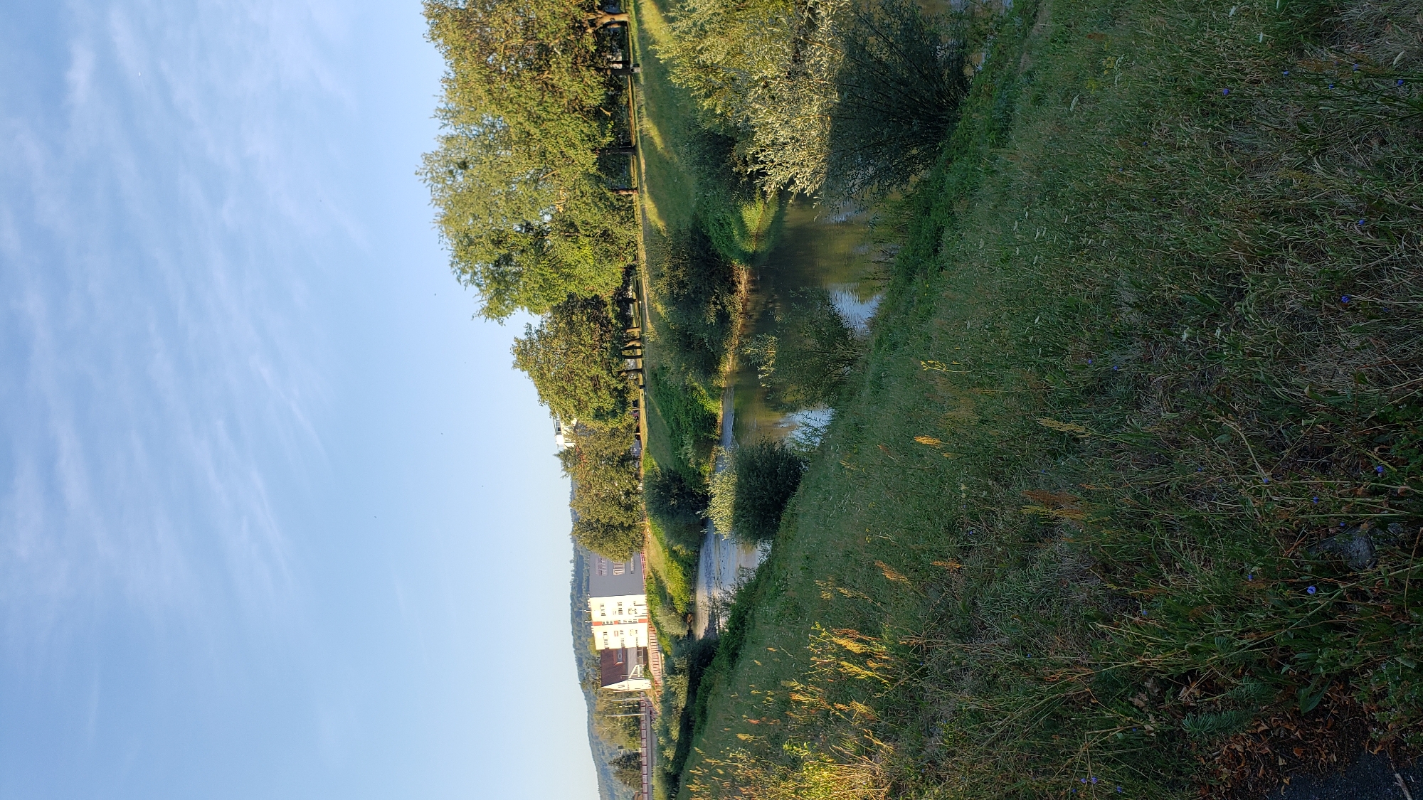 The image depicts a serene natural scene with urban elements in the city of Prešov, Slovakia. A gently flowing river occupies the middle ground, its surface reflecting the clear blue sky and the lush greenery of its banks. The river is bordered by a grassy slope on the left, featuring tall, sun-kissed grasses and scattered wildflowers. On the opposite bank, a line of trees forms a natural canopy, with several buildings visible behind them. The buildings appear to be of modern architecture, some featuring multiple stories and light-colored facades. The overall impression is one of a peaceful coexistence between nature and urban development, possibly a park or a recreational area within the city. The lighting suggests it is either early morning or late afternoon, given the warm glow on the vegetation. There are no people or animals visible in the image.