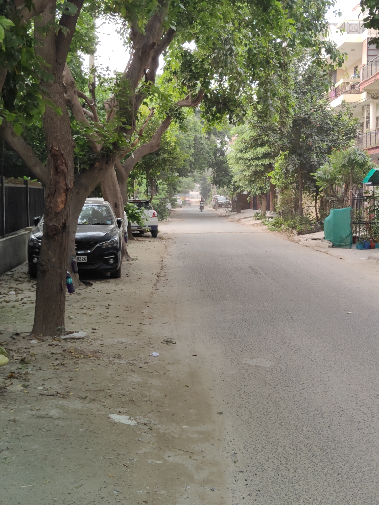 The image captures a street scene in Gurgaon, India, characterized by dense foliage lining the road. A black car is parked on the left side of the street, with its license plate visible as "8226". Behind it, a white car is also parked. The road itself is paved, with a sandy shoulder on the left. Trees with broad trunks and lush green leaves create a canopy over the street. In the background, a multi-story building with balconies is visible, suggesting a residential area. Further down the road, a few vehicles, including a motorcycle, are in motion. A green tarp covers an object on the right side of the street, and several potted plants are arranged nearby. The overall impression is of a somewhat unkempt but lively urban environment, with a strong presence of greenery.