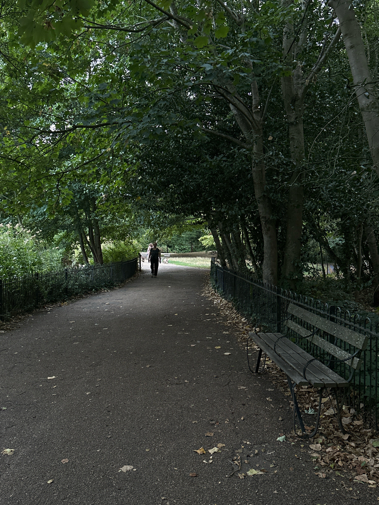 The image depicts a park path in London, United Kingdom, shaded by mature trees. A person walks away from the camera on the paved path, which is bordered by a black metal fence on the right and lush greenery on the left. Fallen leaves are scattered across the path and the ground. A wooden park bench is visible next to the fence. The overall scene is overcast, suggesting a subdued, natural light.