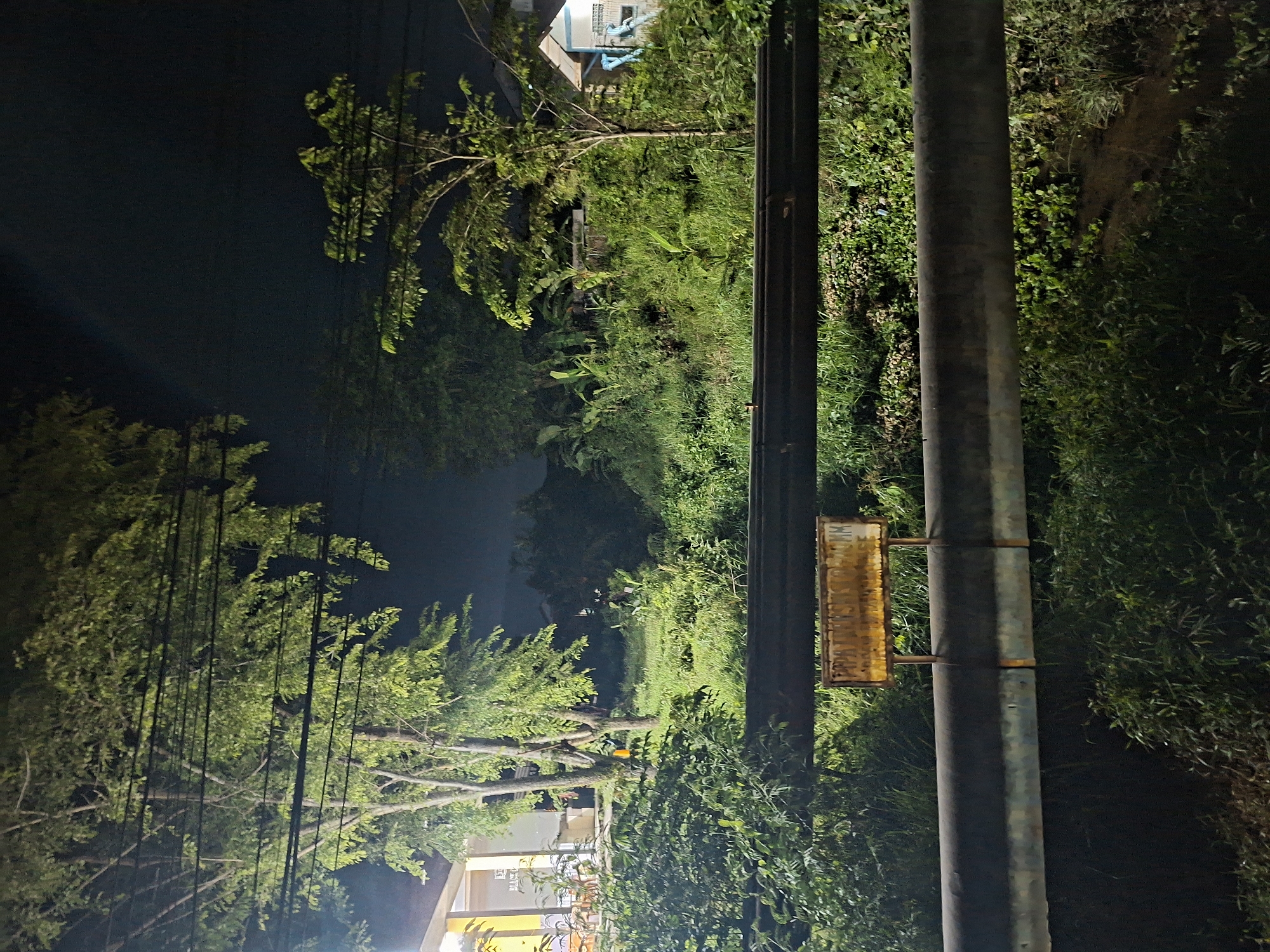 The image depicts a night scene in Lhokseumawe, Indonesia, along a road lined with dense vegetation. A utility pole with attached signage stands prominently in the foreground. Trees and foliage encroach upon the road, illuminated by scattered artificial lights from nearby structures. The darkness obscures details further into the background, but suggests a continuation of the wooded landscape. No people are visible.