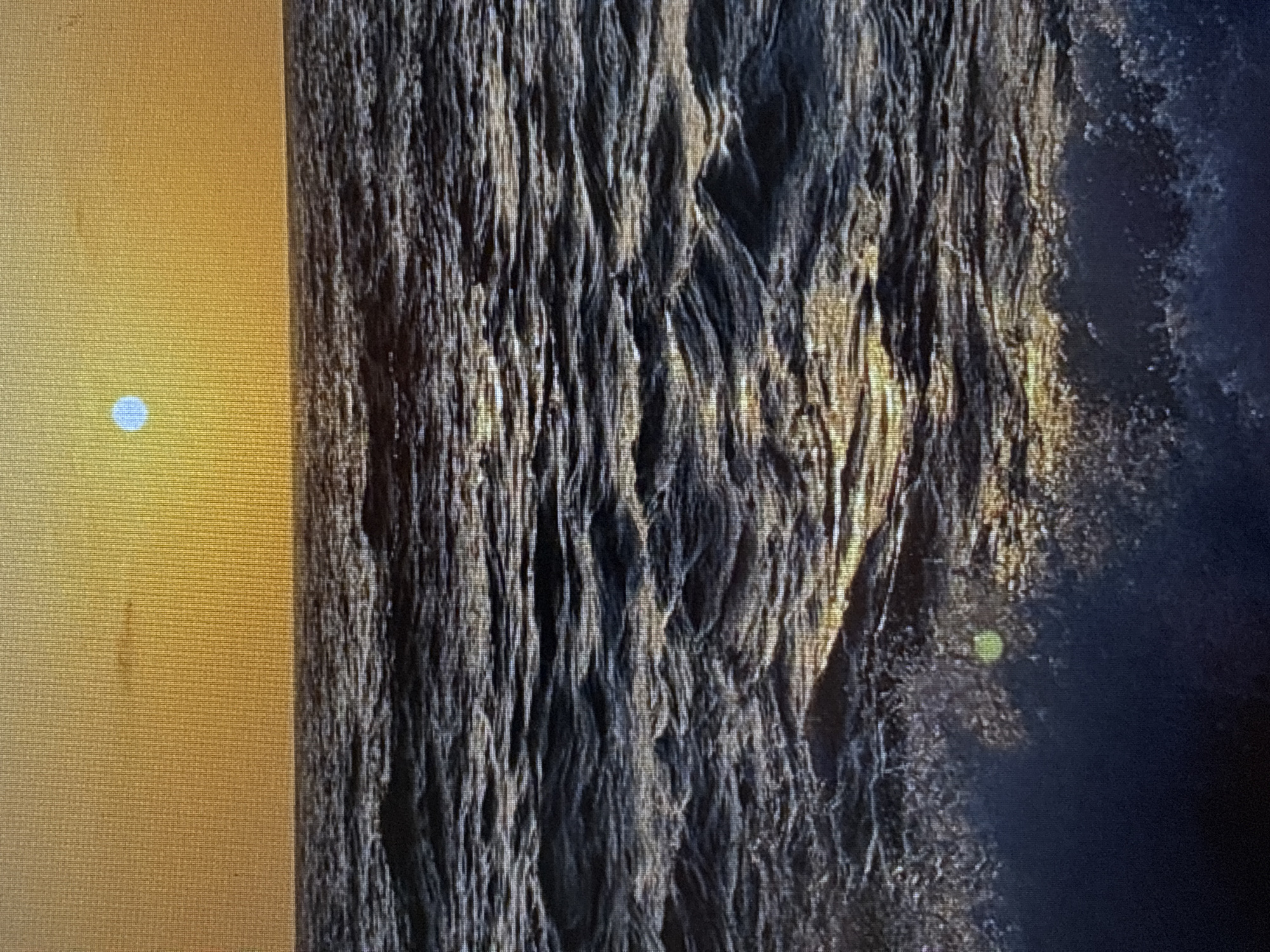The image shows a close-up of a tree trunk, possibly driftwood, next to a surface that is likely a textured wall. The colors are muted, with dark gray/brown dominating the trunk area, a brown/yellow textured wall.
The image location is unknown.