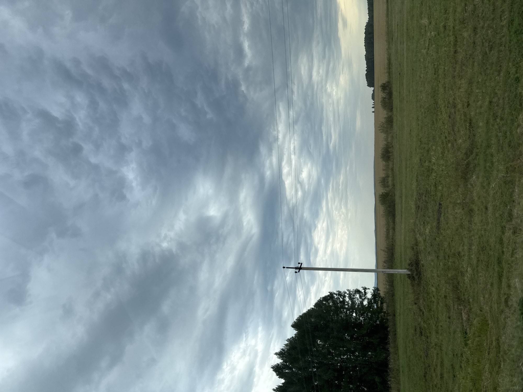 A landscape view shows a power pole and wires in the foreground, set against a cloudy sky. To the left, a line of dark green coniferous trees runs diagonally across the frame. In the middle ground, a mowed field transitions to a dry, golden field, with a distant treeline. The scene appears to be in Novoustinovka, Russia.