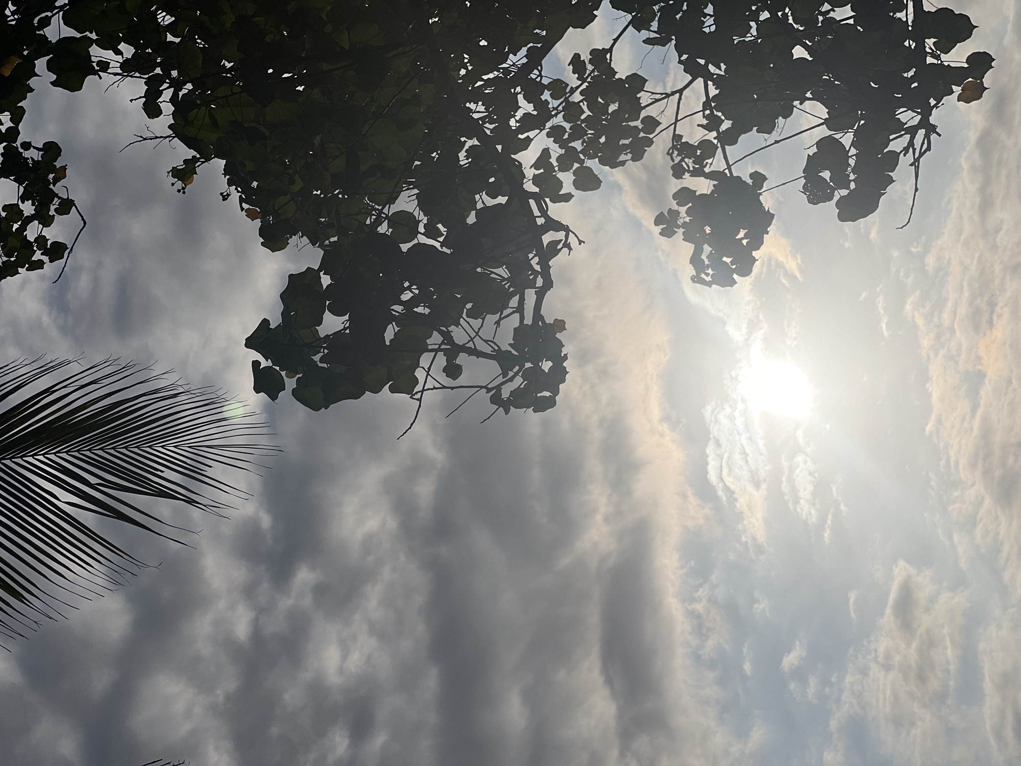 The image is a silhouette of tree branches and palm fronds against a cloudy sky with the sun partially obscured. The sun casts a bright glow and its rays are visible through the clouds. The location is the city of Kuta, Indonesia. There are no people or specific objects in the scene other than the natural elements.