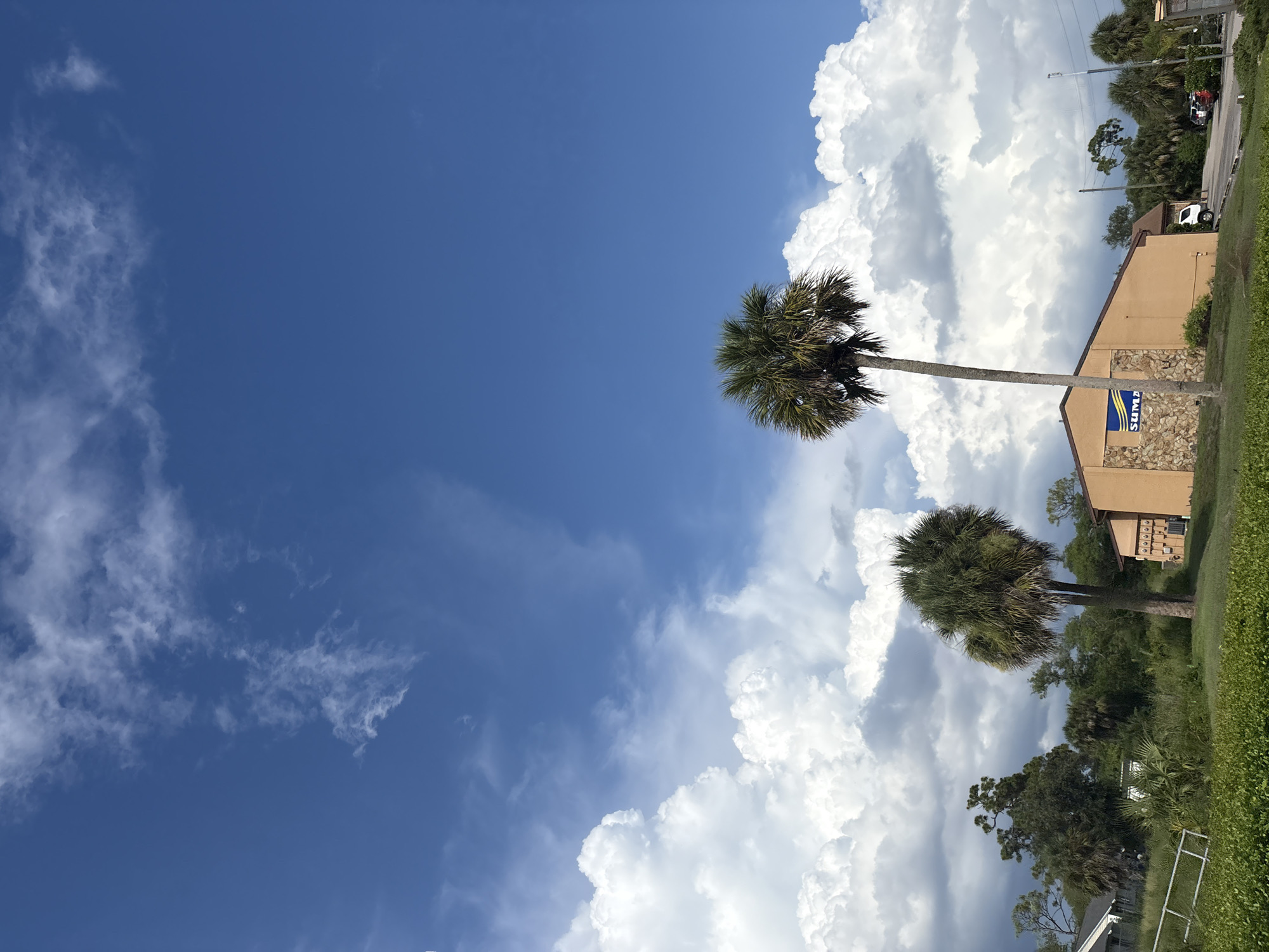 The image captures a sunny day in North Port, Florida, United States of America, with a bright blue sky dotted with fluffy white clouds. In the foreground, lush green grass covers the lower part of the frame. A tall palm tree stands prominently on the right, its fronds spread wide against the sky. To its left, a shorter palm tree offers a contrasting silhouette.
Behind the trees, a tan-colored building with a stone-accented facade is visible. A blue sign with the word "SUMA" in white lettering is mounted on the building's exterior. To the right of the building, a road is present, with several vehicles parked along its side, including a white van and a red car. Various other trees and vegetation are scattered throughout the background, contributing to the tropical feel of the scene. The overall impression is one of a clear, pleasant day in a semi-tropical environment.