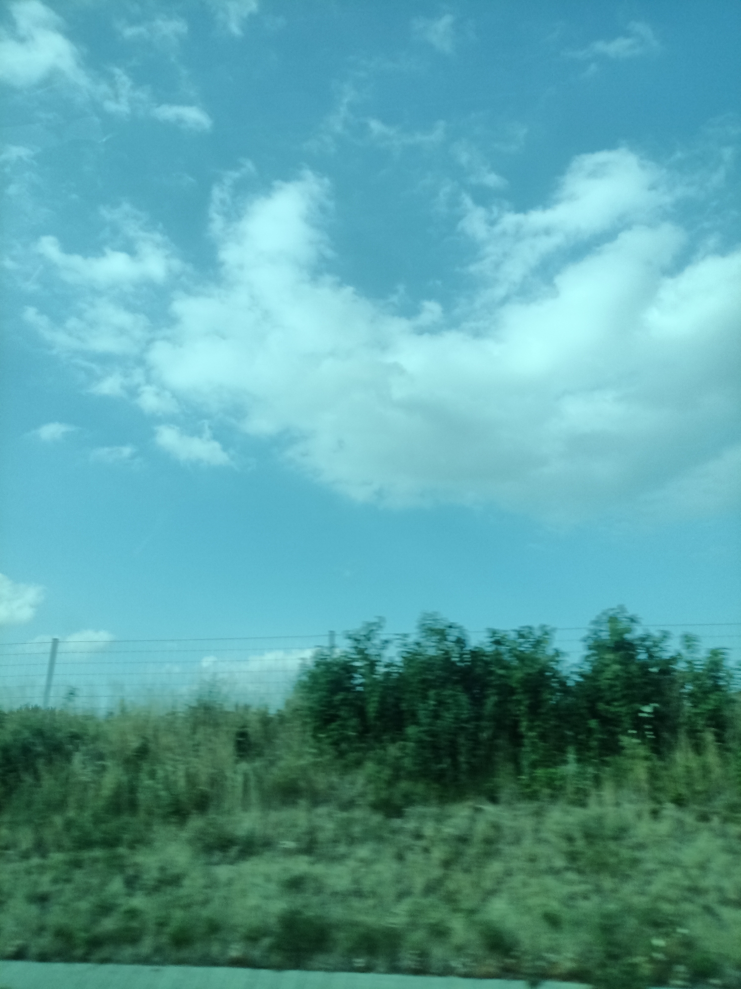 This media file depicts a scene captured from a moving vehicle, likely on a road. The primary subjects are the sky and a landscape. The sky is a prominent feature, filled with a bright, light blue hue and scattered white clouds that are soft and billowy. These clouds suggest a partly cloudy day. The upper portion of the image is dominated by the sky, while the lower portion shows a landscape that appears to be a field or roadside.
In the foreground, the landscape is a blur of green, indicating the motion of the vehicle. There are patches of tall grass and vegetation. A fence, appearing to be a wire fence with vertical posts, runs horizontally across the middle ground, separating the field from a line of trees and shrubs. These trees are dense and dark green, creating a strong visual contrast with the lighter sky and field.
The overall impression is that of a daytime scene, likely late morning or afternoon, given the brightness of the sky. The weather appears to be pleasant, with the scattered clouds suggesting fair conditions. There are no discernible people or specific man-made objects beyond the fence. The lack of sharp detail in the foreground and the blurred motion imply the image was taken while traveling. The location context provided, Třemošnice, Czechia, doesn't offer any specific visual cues within the image itself. There is no visible text in the image. The mood is one of natural scenery, perhaps a quiet journey through the countryside.
