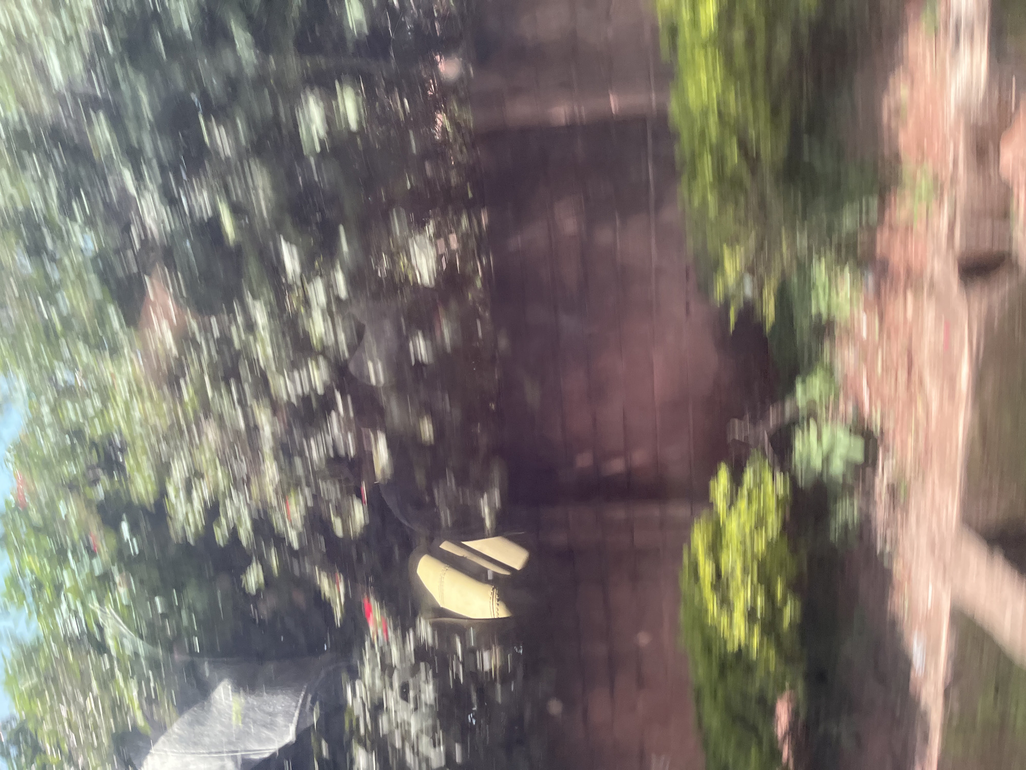 The image depicts an outdoor scene, likely a garden or backyard, with a focus on lush greenery and a brick wall. The photograph is significantly blurred, suggesting motion blur or a very shallow depth of field.
On the left side of the frame, a large tree with abundant green leaves dominates the view. Interspersed within the leaves are glimpses of what appear to be red flowers. Below the tree, a dark, amorphous object with a reflective surface is visible, possibly a piece of outdoor furniture or equipment covered by a tarp.
To the right of the tree and leaves, a section of a brick wall runs vertically. The bricks are a reddish-brown hue, and the wall appears to be weathered. In front of the brick wall, there are patches of brightly lit green foliage, likely bushes or smaller trees. Further to the right, the ground is covered with a mixture of earth and possibly gravel or small stones.
A striking feature in the middle-left portion of the image is a curved, light-colored object with darker trim, resembling the shade of an outdoor lamp or light fixture, partially obscured by the foliage.
The overall lighting suggests it is daytime, with bright sunlight filtering through the trees, creating highlights and shadows that are exaggerated by the blur. The weather appears to be clear and sunny. The location context of Jos, Nigeria, implies a tropical or subtropical climate. No people are visible, and there is no discernible text. The activity is static, depicting a garden environment.