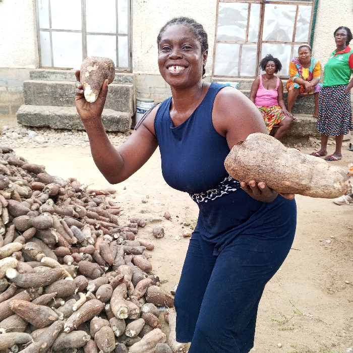 The scene is an outdoor setting in Adankolo, Nigeria, featuring a primary subject and three individuals in the background, amidst a large volume of root vegetables. A woman in the foreground, with braided hair and a visible diastema, directly faces the viewer with an open-mouth expression. She wears a dark blue sleeveless garment with a patterned waistline. Her left hand holds a partially exposed root vegetable, revealing white flesh, while her right hand supports another, larger root vegetable horizontally. To her immediate left, a substantial pile of unpeeled root vegetables, consistent with cassava, occupies the dirt ground. In the background, positioned against a light-colored building with multiple windows and concrete steps, three additional women are present. Two are seated on the steps, one in a pink top and patterned skirt, the other in a vibrant patterned outfit. The third woman stands to the right, wearing a green and red top with a patterned skirt. The ground consists of compacted earth.