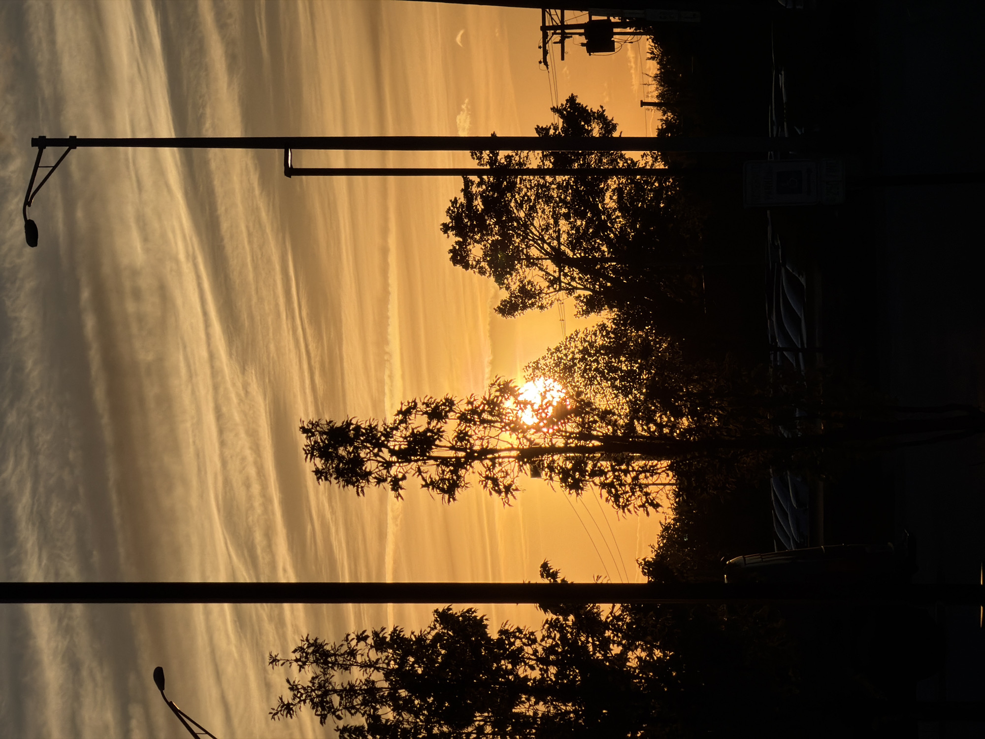 The image depicts a sunset in Morton Grove, Illinois, United States. The sky is filled with streaks of white clouds against a golden backdrop. Silhouetted against the sky are trees, utility poles, and streetlights. In the lower part of the image, the darkness obscures details of what seems to be a parking lot with parked vehicles. A parking sign is visible behind the trees on the right side.