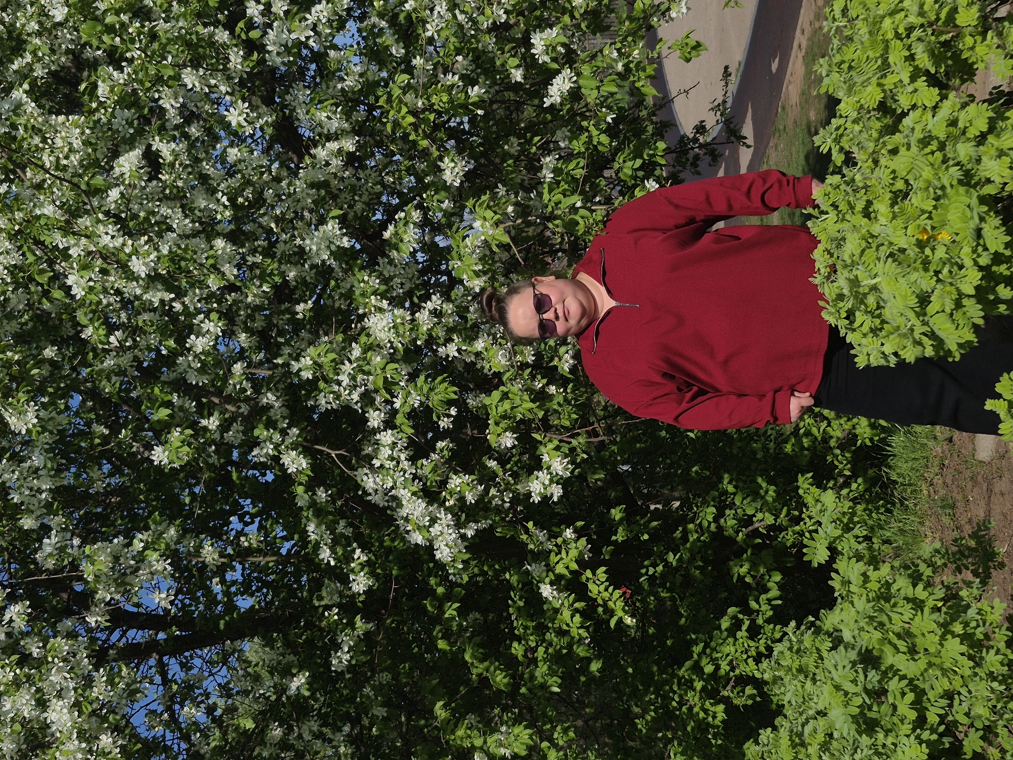 A medium shot reveals a person standing outdoors amidst greenery. The person, wearing sunglasses and a maroon sweater, stands slightly off-center to the right, positioned partially behind a leafy bush. To the left, a blooming tree, filled with white flowers, dominates the frame. The background suggests an urban environment, with a concrete surface visible behind the foliage. The location appears to be a city park.