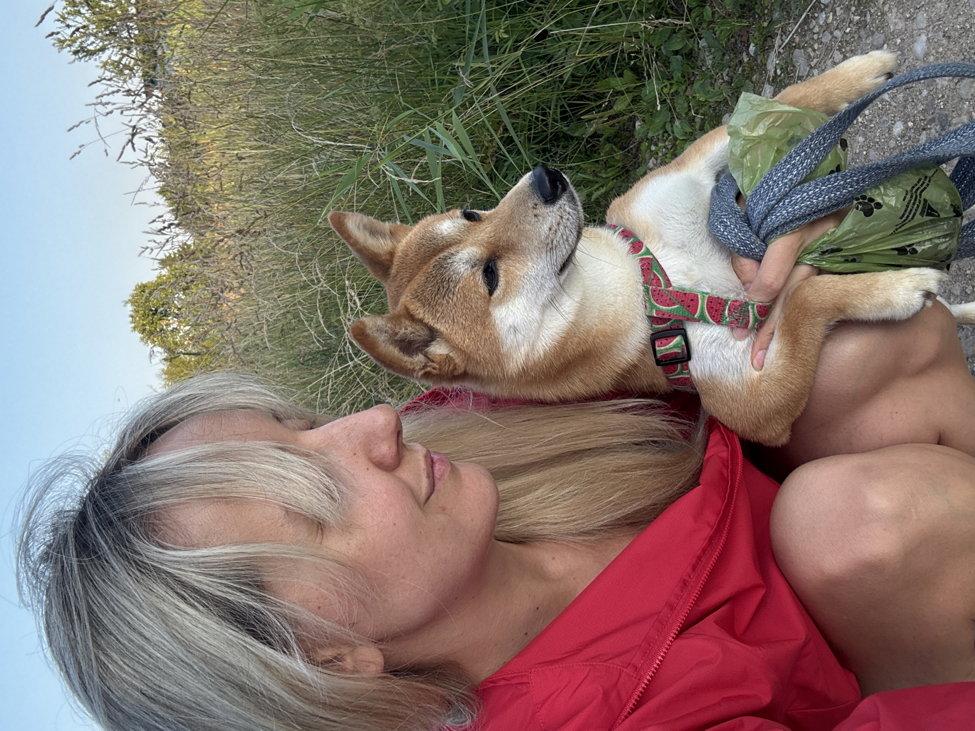 A blonde woman wearing a red jacket and a shiba inu dog with a watermelon-patterned collar are positioned in the foreground. The woman is holding the dog, which is facing to the right. The dog's leash and two bags of dog waste are held in the woman's hands. The background consists of tall grass and trees, indicative of an outdoor setting. The image appears to have been taken in Carnikava, Latvia, during daylight hours, given the clear sky and natural light.