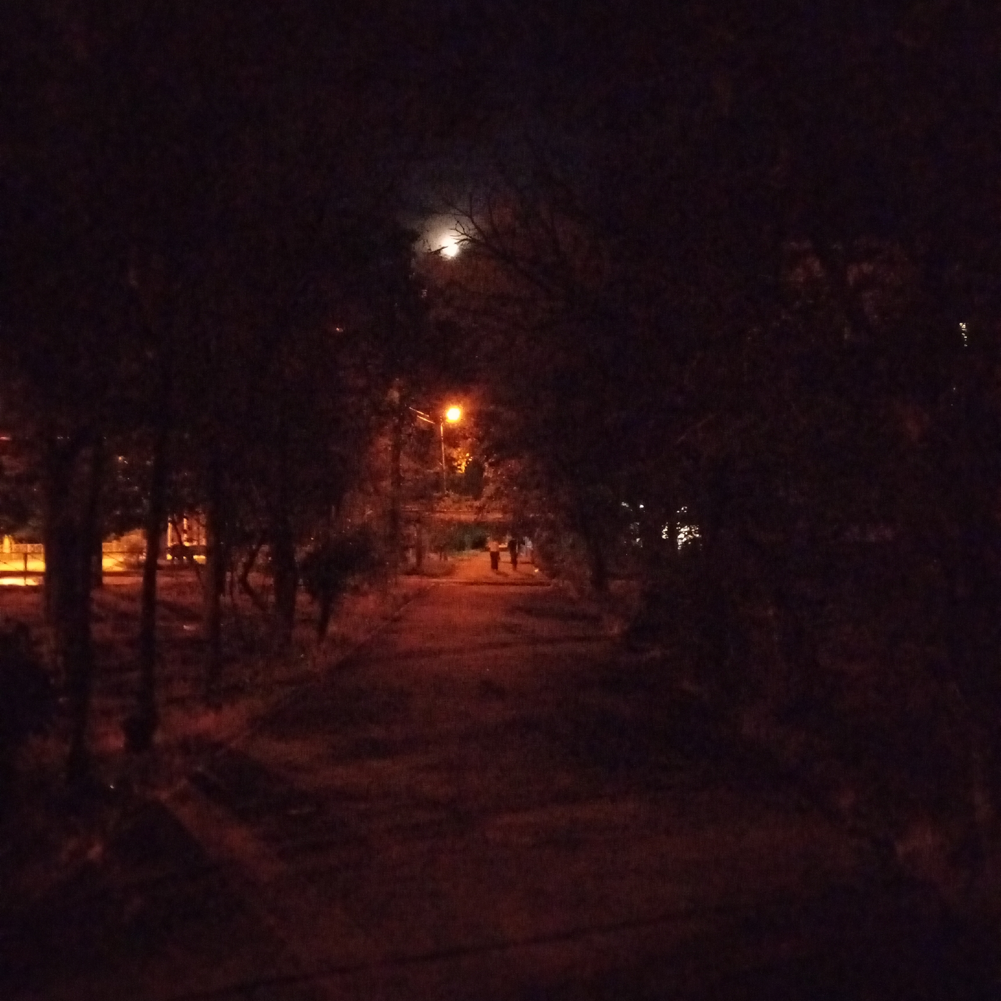 The image depicts a nighttime scene on a paved pathway flanked by trees. A single lamppost illuminates the path, casting an orange glow. Two figures are walking away from the camera on the path, their forms silhouetted against the light. In the background, through the trees on the left, a bright yellow light suggests more artificial illumination, possibly from buildings or streetlights. The full moon is visible in the upper part of the image, partially obscured by tree branches, and its light adds a faint luminescence to the scene. The overall atmosphere is dark and somewhat mysterious, with shadows dominating the composition. There is no specific visual information in the image that would allow for identification of the location as Astrakhan, Russia.