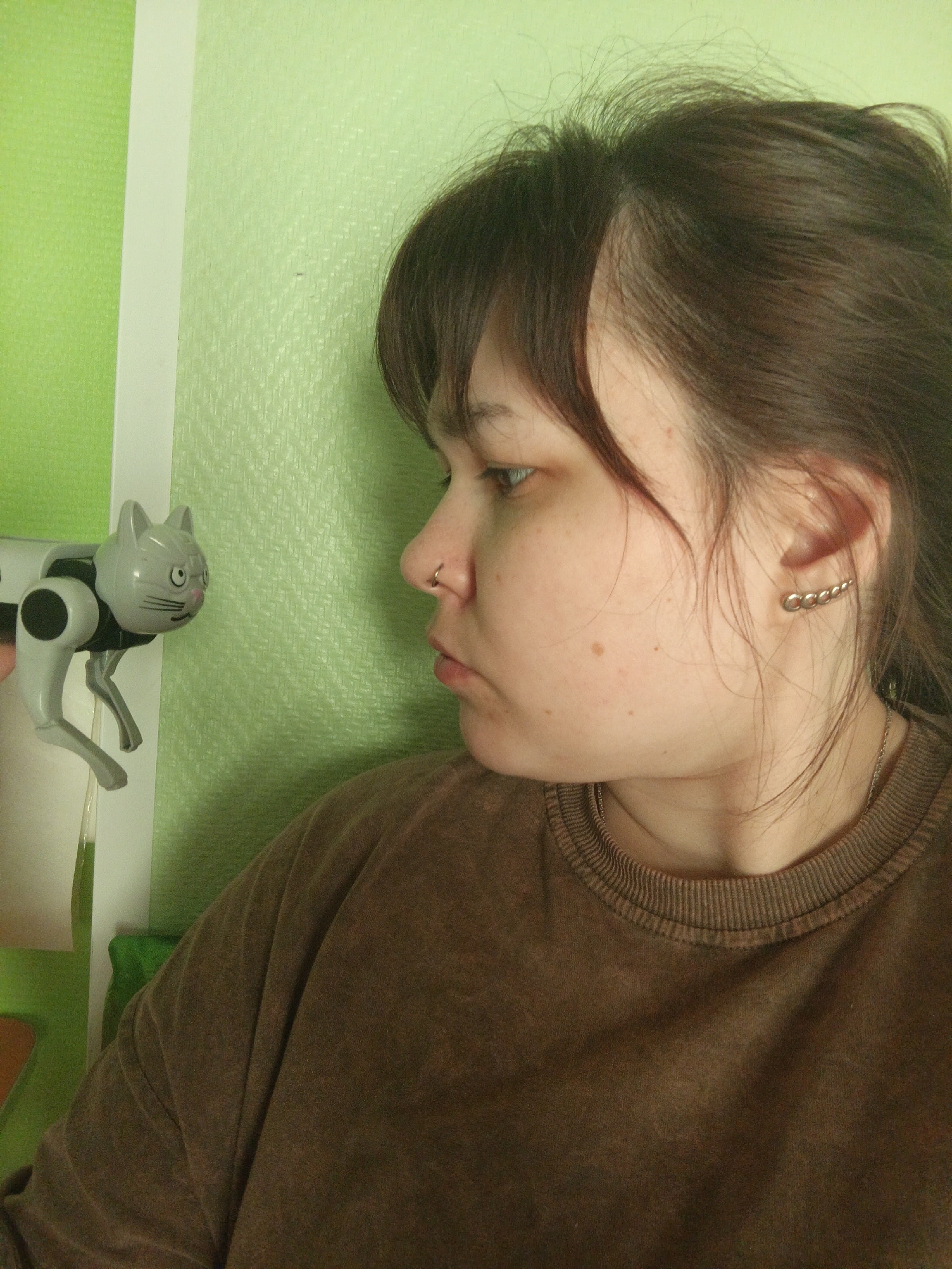 An indoor scene depicts an individual's right-profile close-up, facing left, against a textured wall. The individual, appearing female, has dark brown hair, a small silver ring piercing on the nose, and a silver multi-loop ear cuff on the visible right ear. Multiple small macules are present on the right cheek. She wears a brown, crew-neck, long-sleeved garment, and a thin silver chain necklace is visible. Positioned at eye level to the left of her face is a grey robotic cat toy, featuring black circular markings, black eyes, and a pink nose. The background wall is divided by a vertical white strip, with a brighter lime green section to the left and a lighter lime green section to the right. The specific geographic location within Chaikovsky, Russia, cannot be ascertained from the visual evidence.