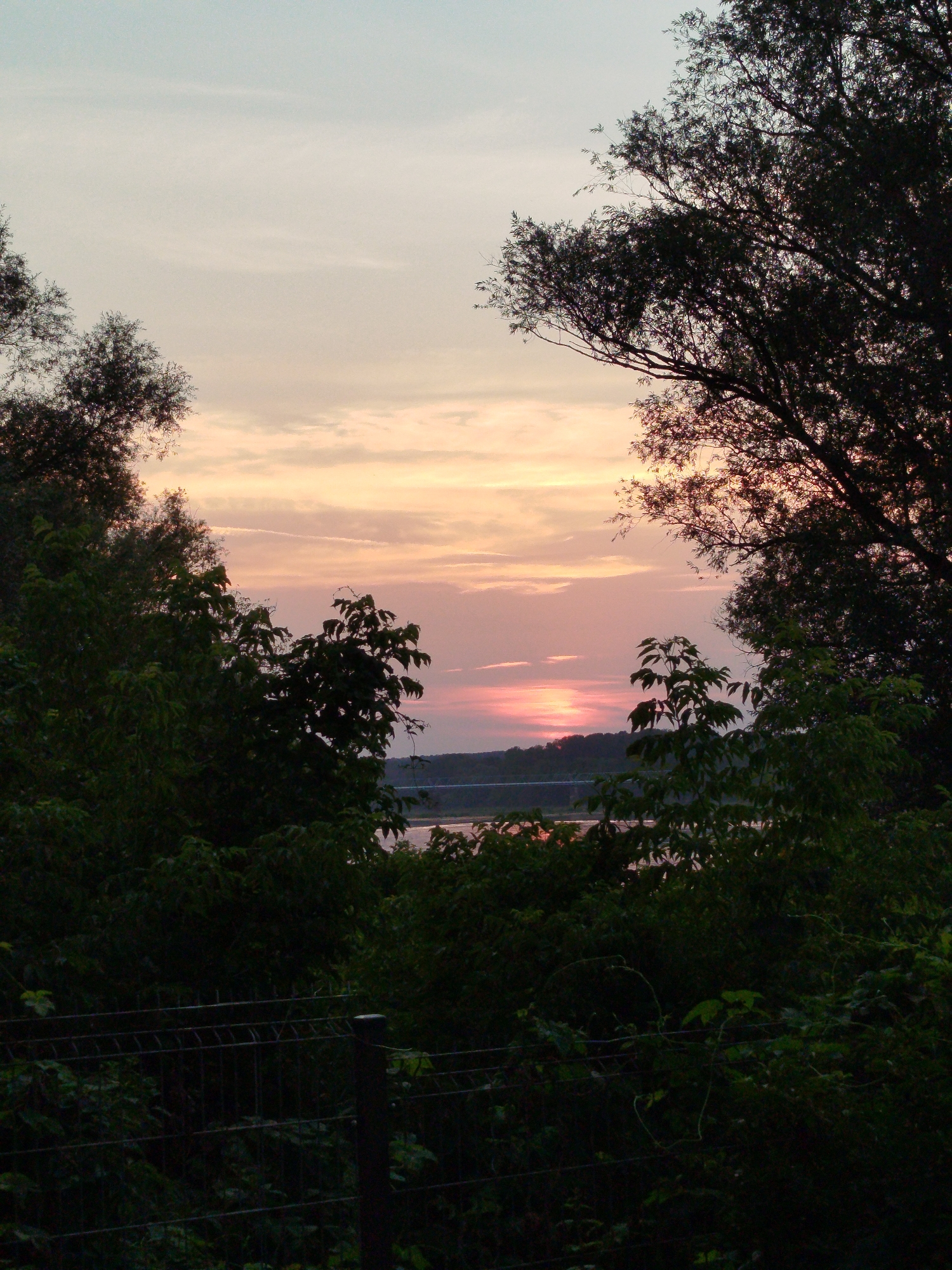 The image depicts a serene sunset over the city of Topolina, Poland, as viewed through a natural frame of trees. The sky is a canvas of soft pastel colors, with hues of pink, orange, and pale blue blending together. Wispy clouds are scattered across the expanse, catching the last rays of the setting sun. In the distance, a body of water, likely a river or lake, reflects the vibrant colors of the sky. A bridge can be seen spanning the water in the middle distance, its structure silhouetted against the colorful horizon. The foreground is dominated by dense foliage and the dark silhouettes of trees, creating a sense of depth and framing the sunset view. A dark wire fence is visible at the bottom of the image, suggesting a boundary or enclosure. No people or specific actions are discernible. The overall impression is one of natural beauty and tranquility at dusk.