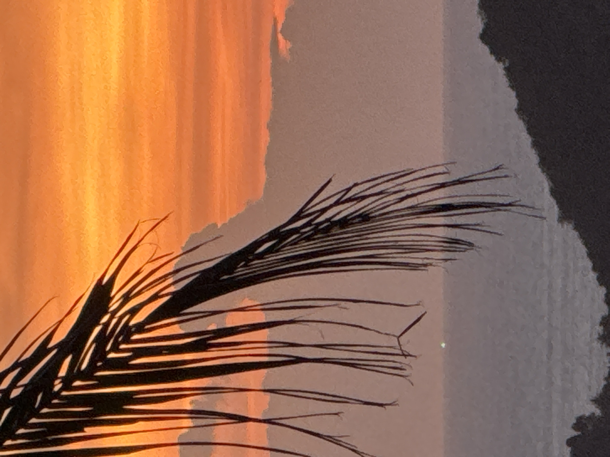 The image shows a sunset over the ocean, with a palm frond in the foreground. The sky is a vibrant orange and yellow, with some clouds visible. The ocean is a muted grey color, and the land in the distance is dark and silhouetted. There is a small green light visible on the horizon, possibly a boat or buoy. The image appears to be taken in a tropical location, consistent with the description of Ban Tai Subdistrict, Thailand. The scene is peaceful and serene, with the natural beauty of the sunset dominating the composition. There are no people or man-made structures visible in the immediate foreground or midground.