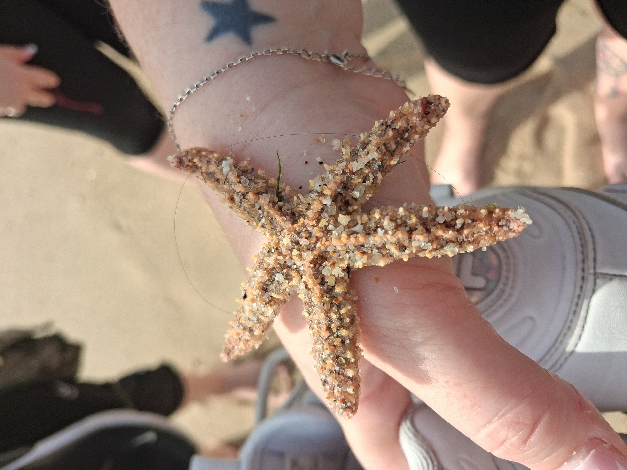 A starfish covered in sand rests on a light-skinned person's hand with a silver chain bracelet adorned with a star tattoo on their wrist, set against the backdrop of a sandy beach. Another individual's black pants and a partial view of their hand are visible in the background. A white shoe is also present in the foreground. Given the prompt's reference to Figueira da Foz, Portugal, it is inferred that this scene is taking place on a beach in that city.
