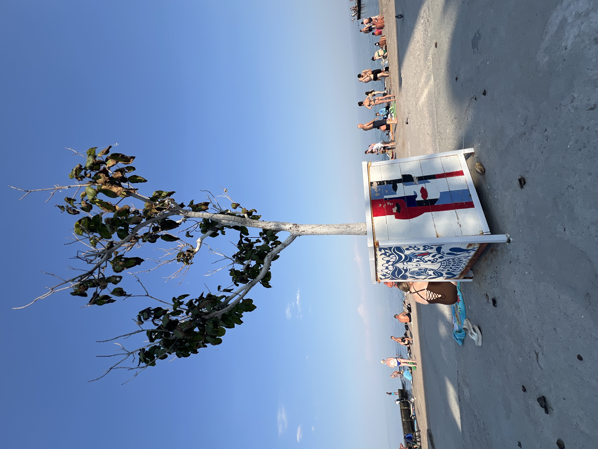 An outdoor, ground-level, wide-angle shot captures a sunny day at a beach in Odesa, Ukraine. In the foreground, a white-painted tree stands in a decorative planter box adorned with a stylized face and geometric patterns in red, white, and blue. To the left of the planter, a person in a brown swimsuit sits on a blue towel, facing away from the camera. Scattered on the concrete ground are fallen leaves and a pair of white sandals.
The middle ground features a line of people of various ages and genders, many in swimwear, relaxing, sitting, or standing on the concrete promenade. The sea stretches out beyond them under a clear blue sky with a few wispy clouds. Further in the distance, several people are visible in the water, and a boat is present. The overall scene depicts a typical summer day at a coastal recreational area.