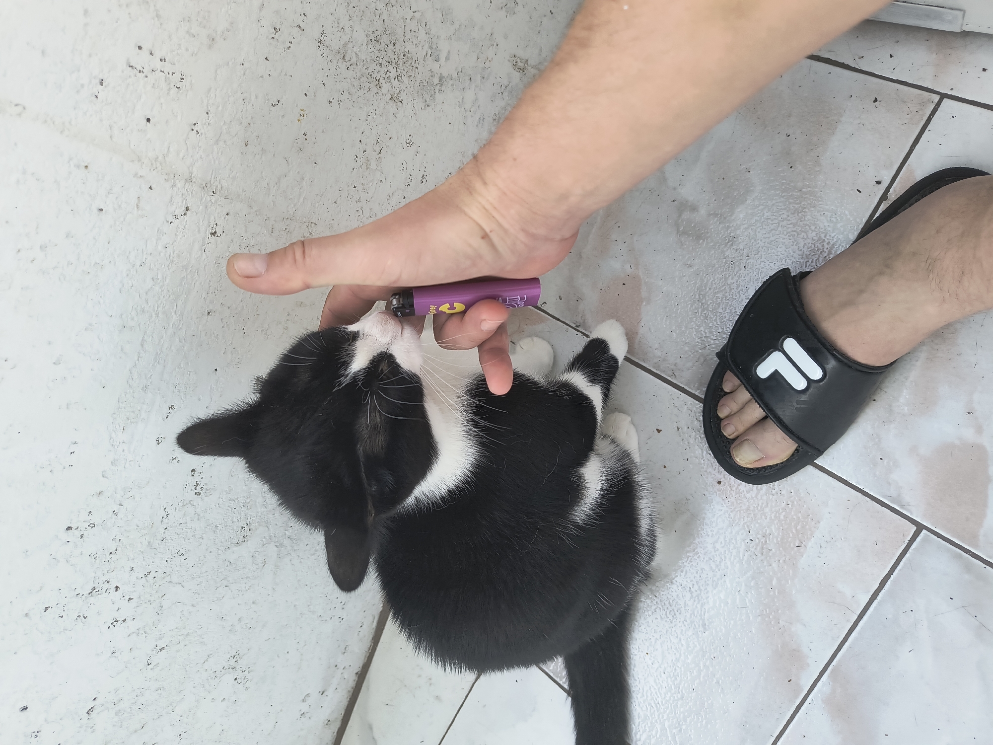 A black and white kitten is sitting on a tiled floor next to a person's foot wearing a black sandal. A hand is holding a purple lighter near the kitten's face. The background is a textured white wall. The scene appears to be outdoors or in an open-air space with natural lighting.