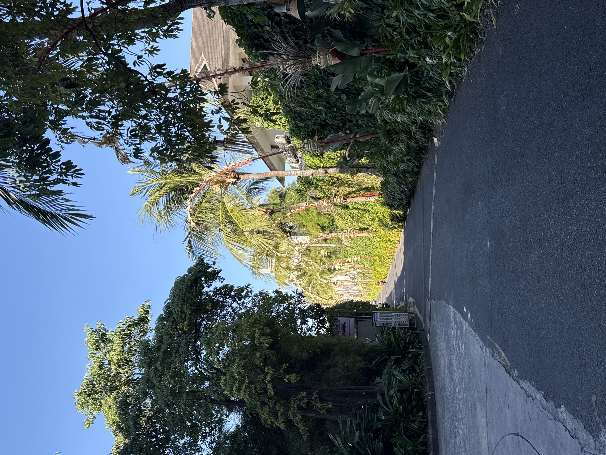 A paved road runs through a lush, tropical environment in North Kuta, Indonesia. Tall trees with dense green foliage line the left side of the road, while palm trees and a vibrant green hedge define the right. A white building with a brown tiled roof is visible behind the vegetation on the right. The road is empty except for a single person on a red scooter in the distance, heading away from the camera. The sky is a clear, bright blue. Decorative items, possibly religious offerings, hang from red poles along the right side of the road. A signpost with currency exchange rates is visible on the left side of the road. The scene appears peaceful and well-maintained, characteristic of a resort or upscale residential area.