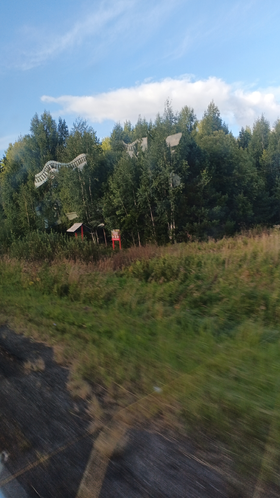 The image shows a rural landscape with a dense forest bordering a grassy field. In the foreground, a blurred section of a road or path is visible. Amidst the trees, there are glimpses of man-made structures. Specifically, a small, red-framed building with a dark roof is partially obscured by vegetation. To its right, a red sign with white text, possibly a directional sign or advertisement, is also visible. The sky above is blue with scattered white clouds. The overall impression is of a natural setting with some human presence, possibly a roadside attraction or a remote settlement. The image was captured in the vicinity of the city of Kiyasovo, Russia.