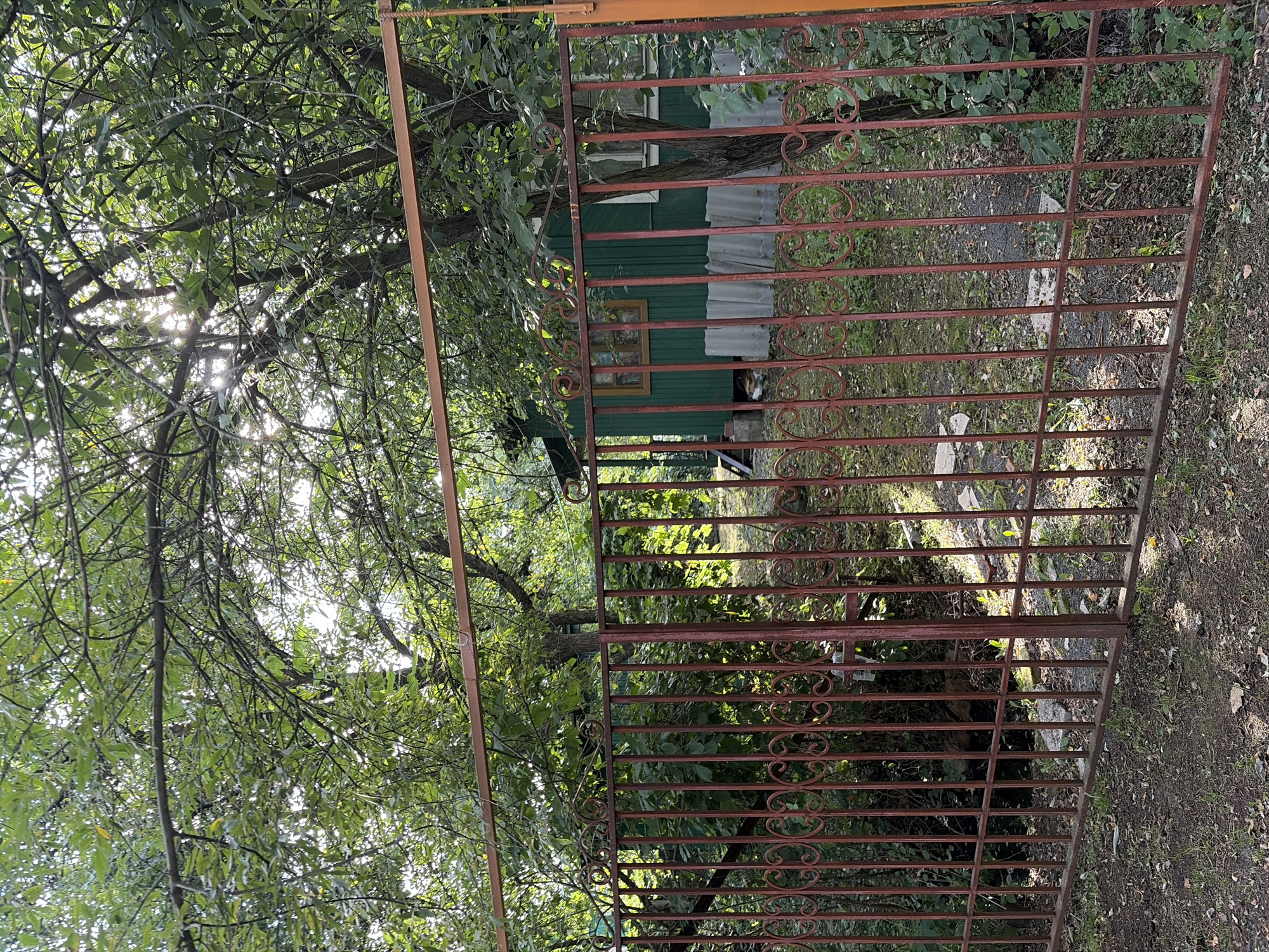 The image shows a red wrought iron gate in front of a green wooden house, set within a lush, overgrown garden in Электротехник Снт, Russia. Sunlight filters through the dense green foliage of trees overhead, casting dappled shadows on the ground. The gate is decorated with a scrolling pattern and appears to be the entrance to a private property. Through the gate, the green house is visible, with a single window. The area around the house appears somewhat unkempt, with overgrown vegetation and a path leading towards the house.