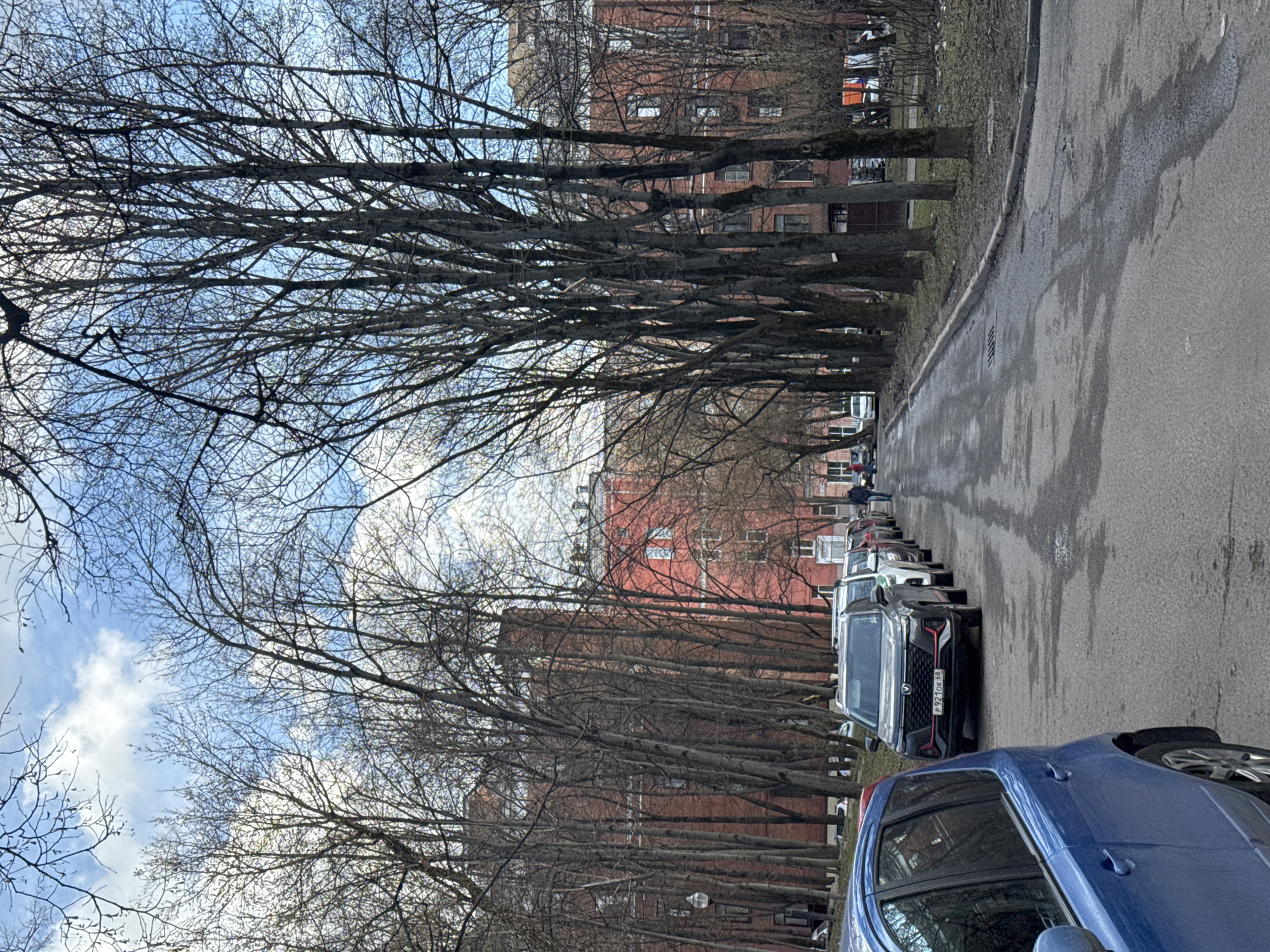 The image shows a street in Moscow, Russia, lined with bare trees and parked cars. The street is wet and the sky is cloudy. Several people are walking in the distance. Red brick buildings line the street behind the trees.