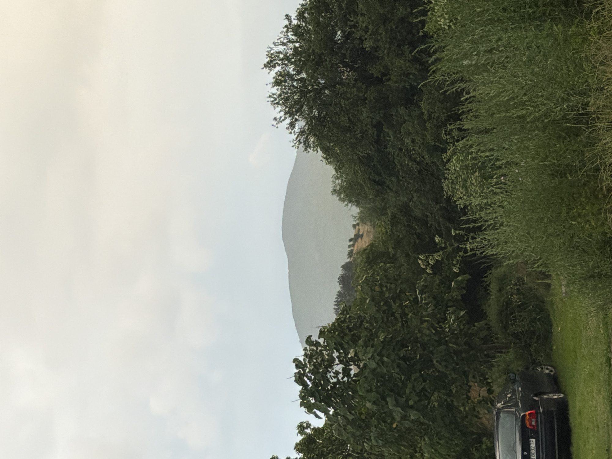 The image displays an outdoor, rural scene in Dabene, Bulgaria, under an overcast sky. In the lower left foreground, a dark-colored sedan, identified by the license plate "B 8032 TP", is parked on a patch of green grass, partially obscured by surrounding vegetation. A dense line of various green trees and bushes occupies the midground, extending from the left to the right side of the frame. Beyond this foliage, a large, indistinct mountain range rises in the background, appearing hazy and light grey against the muted sky. The lower right foreground is filled with tall, slender green plants. The sky is uniformly cloudy, providing soft, diffused lighting. No individuals are present in the scene.