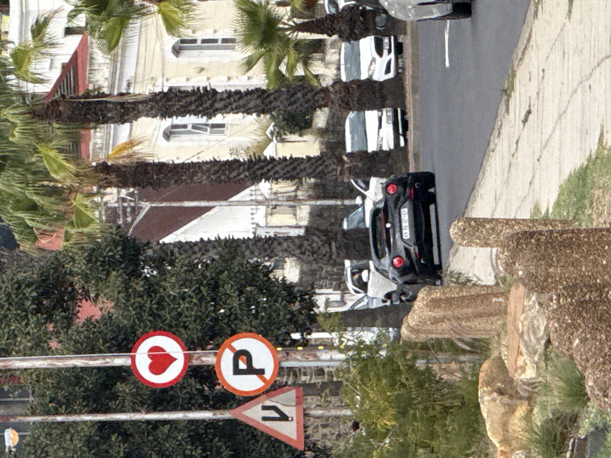 The image shows a street in Cape Town, South Africa, lined with palm trees and several parked vehicles. From bottom to top, there are numerous signs with a heart, a parking symbol with a line through it, and a triangle with an arrow. Above the signs are trees, and behind these are parked cars on the street. The buildings across the street are light-colored with windows. The street appears paved and has a sidewalk on the right side. The vegetation consists of trees and grass. The sky is not visible.