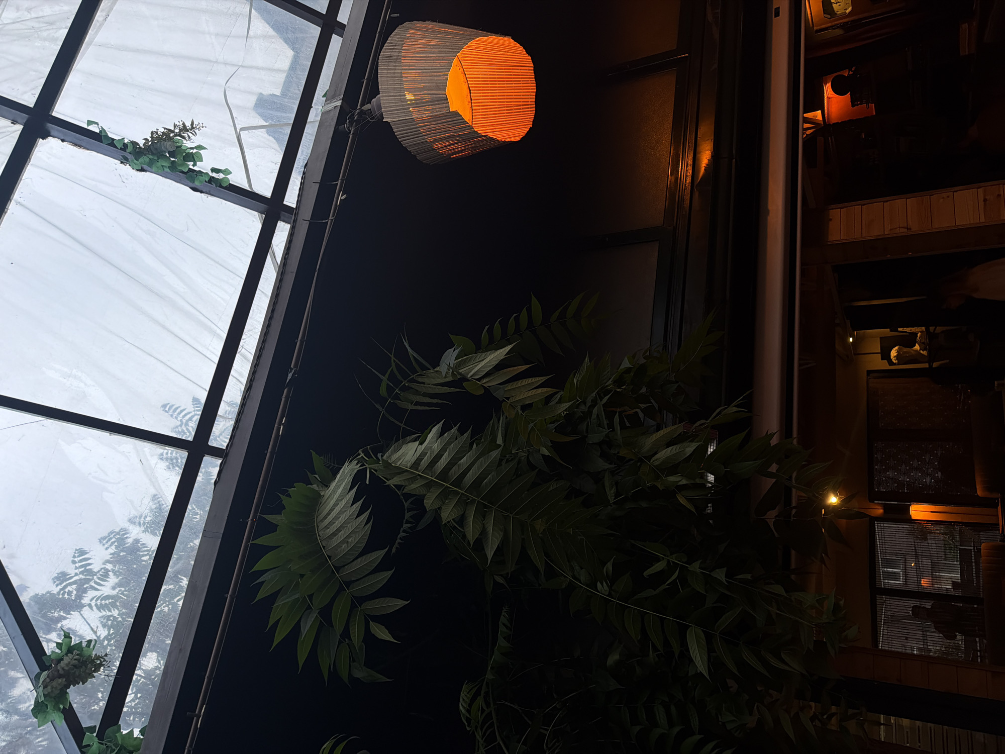 Captured from a low angle, the image portrays an indoor setting with a clear view of a window. Outside the window, a blurred scene suggests an exterior environment, possibly a city or urban area. The window itself features a dark frame with multiple panes of glass.
Hanging from the ceiling is a decorative orange paper lantern, providing warm illumination to the space. The scene is complemented by green leafy plants, adding a touch of nature to the indoor environment.
The presence of a building structure with visible windows hints towards the possibility of this setting being located within a building in Yerevan, Armenia.