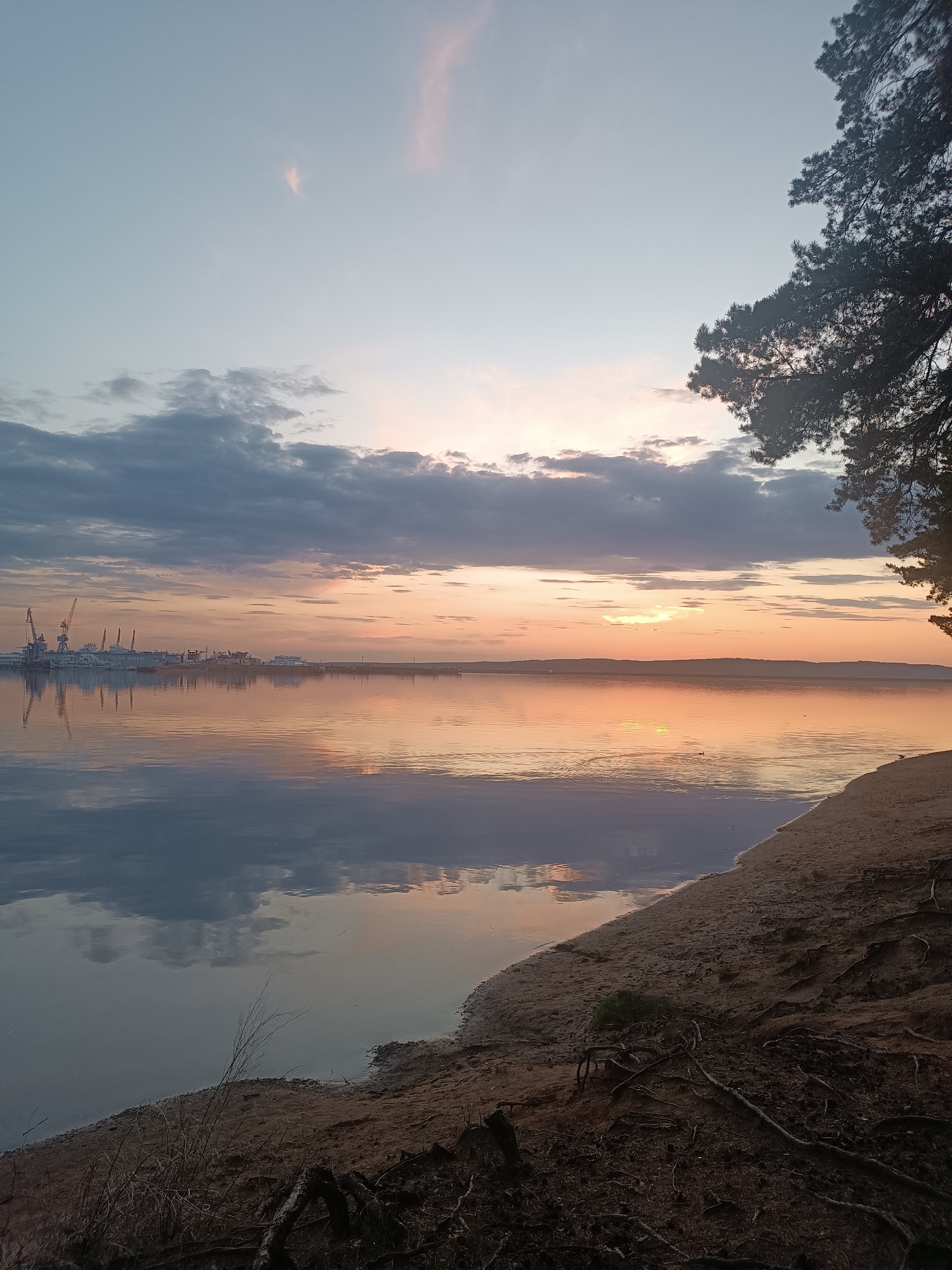 The image captures a serene sunset at a body of water in Chaikovsky, Russia. The sky is a blend of pale blues, oranges, and grays with clouds present. The water reflects the sky's colors. A line of industrial cranes and ships is visible in the distance on the left side of the frame. A sandy shoreline occupies the lower right of the image, with exposed roots and dark earth. The branches of a tree frame the upper right corner.