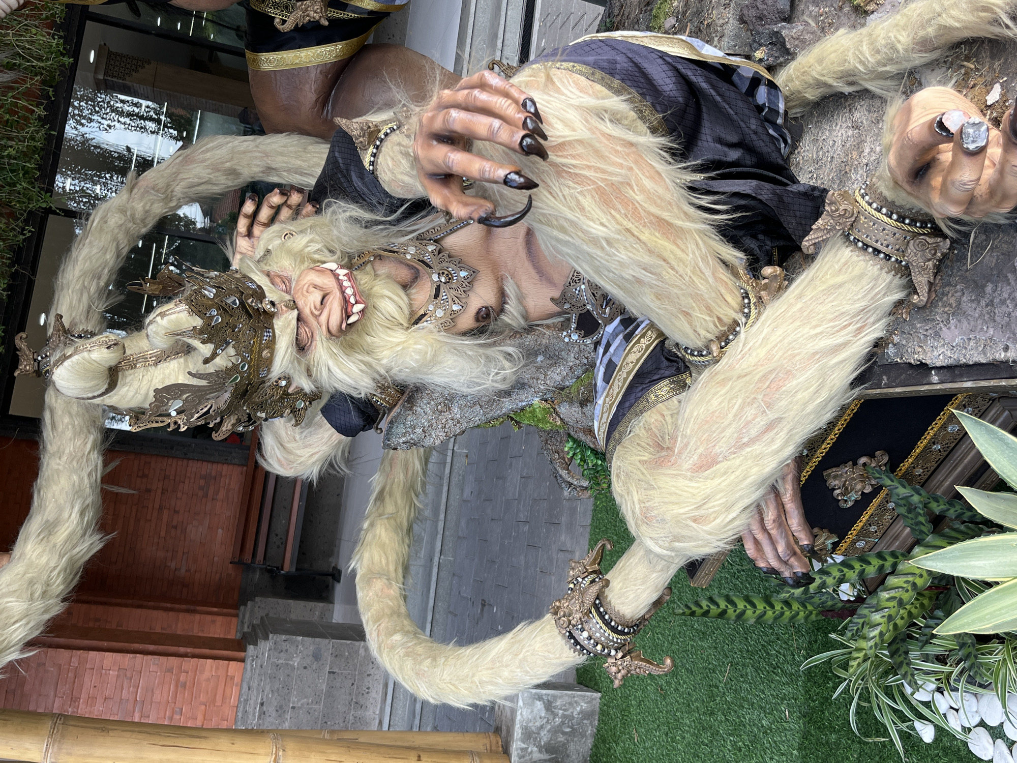 This is a detailed, forensic, matter-of-fact description of the image.
The image depicts a large, elaborately decorated effigy of a monkey-like creature, likely a representation from Balinese mythology, such as Hanuman. The effigy is positioned outdoors, on a surface covered with artificial green turf, with some natural rocks and foliage visible. In the background, there is a building with red brick walls and stone detailing, and a wooden bench. A bamboo pole is visible to the left.
The effigy itself is covered in shaggy, light-colored fur. It has a detailed face with a pronounced snout, sharp teeth, and large, expressive eyes. It is adorned with a golden, ornate headdress and elaborate jewelry around its neck and wrists. The effigy is wearing a dark garment with gold trim and patterned fabric. Its limbs are posed dynamically, with its hands, featuring long, dark claws, held in a claw-like grip. The overall impression is one of a fierce but regal character.
While the specific location in Kuta, Indonesia, is not explicitly identified in the image itself, such effigies are commonly found as decorative elements outside of temples, hotels, or cultural performance venues in tourist areas like Kuta. The presence of the brick building and the outdoor setting are consistent with the architecture and environment found in Kuta. There are no people visible in the image.