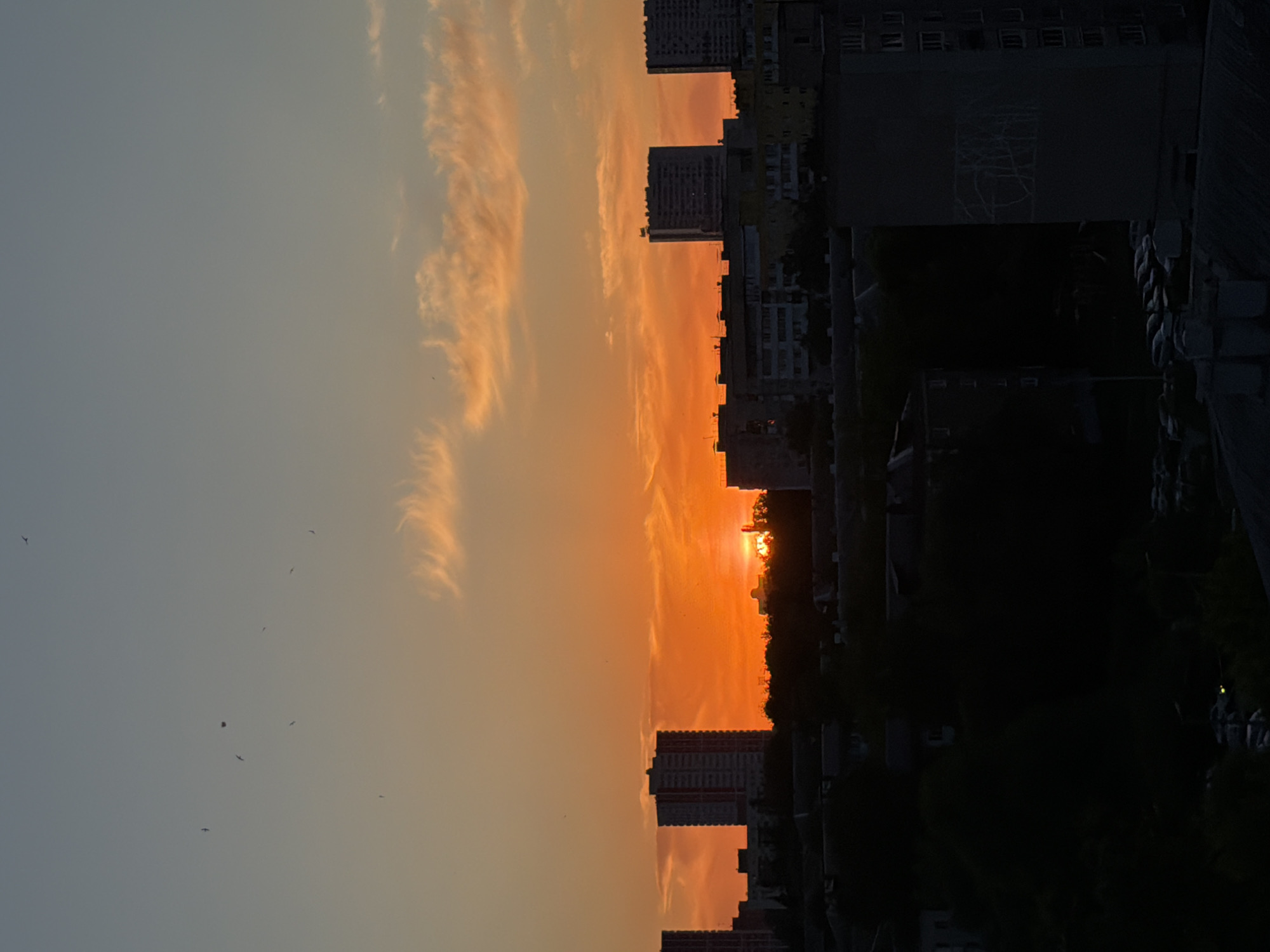 A vertical landscape photograph captures an urban sunset in Unknown, Unknown. The sky transitions from a blue-gray hue to warm orange where the sun is setting behind buildings. The urban landscape is defined by silhouetted buildings of varying heights. A glimpse of the sun is visible between two of the building rooftops. Silhouetted trees and shrubs are interspersed among the structures, adding to the landscape's complexity. Silhouetted birds are flying in the sky. Dark trees and parked cars fill the lower-right corner. A portion of a bridge or building is in the upper-right corner.