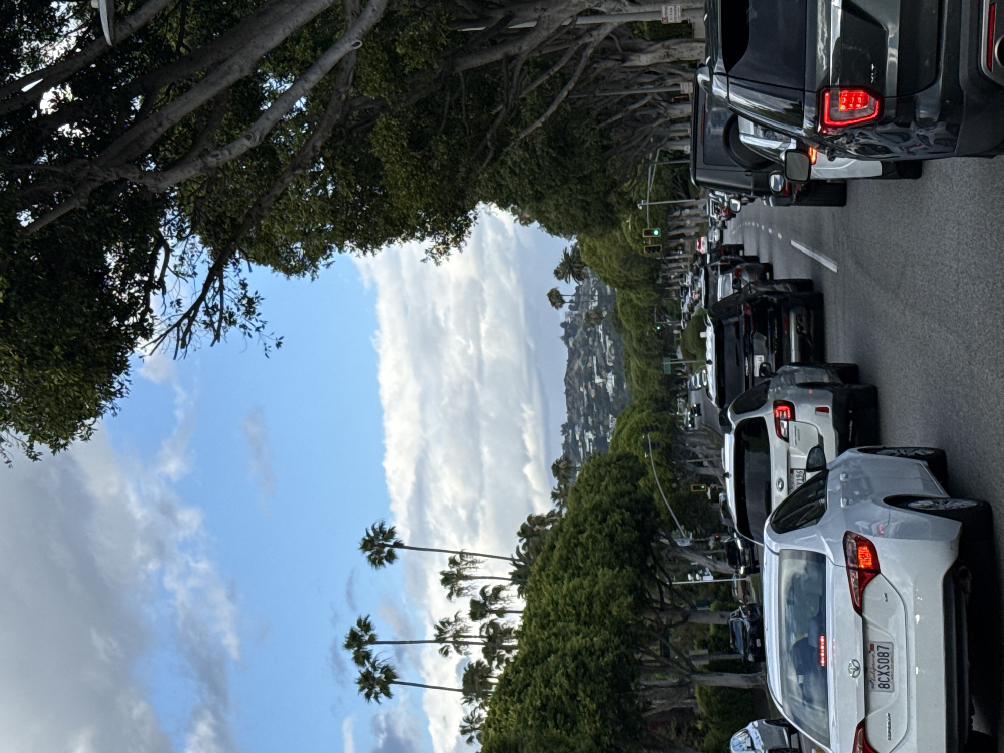 The image depicts a street scene in Beverly Hills, California. A line of traffic is visible on the right-hand side of the frame, with various cars including a white Toyota Corolla with license plate "8CXS087" being clearly visible. The left side of the image displays a partly cloudy sky and tall palm trees, while the roadside is lined with mature trees with dense canopies, and a hillside with houses is seen further back. Street lights and traffic signals are interspersed among the trees lining the road.