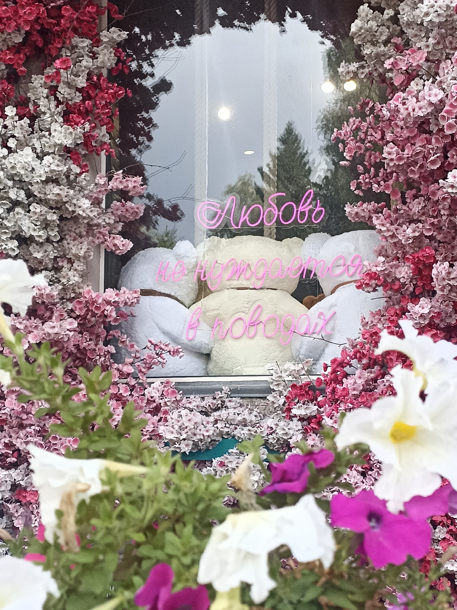 The image displays a store window decorated with artificial cherry blossoms in shades of pink, white, and red. Two large, white teddy bears are visible through the window, positioned behind a neon pink sign. The sign has Russian text that reads, "Любовь не нуждается в поводыря" which translates to "Love does not need a leash." In the foreground, out-of-focus flowers, including white and purple petunias, partially obscure the view of the store window. The reflection in the window shows trees and lights. The location is identified as Novosibirsk, Russia.