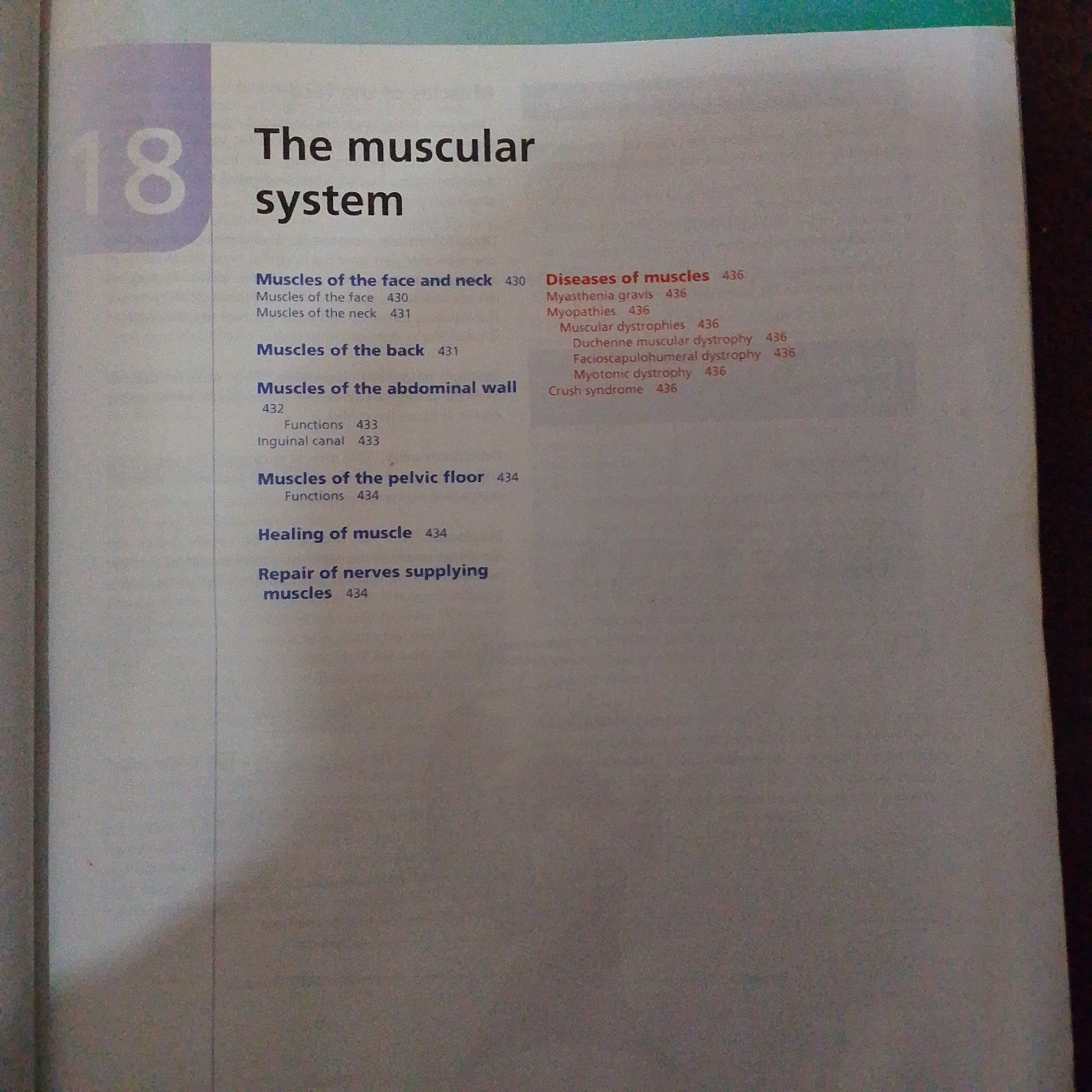The image shows a page from a book, likely a table of contents or index, with the chapter title "The muscular system" and various subheadings with page numbers. The number "18" is prominently displayed in a large font in the upper left corner. The text appears to be in English. There is no information in the image that would allow for the identification of its location in Jalingo, Nigeria, or any details about people, actions, or interactions. The environment is that of a book page.