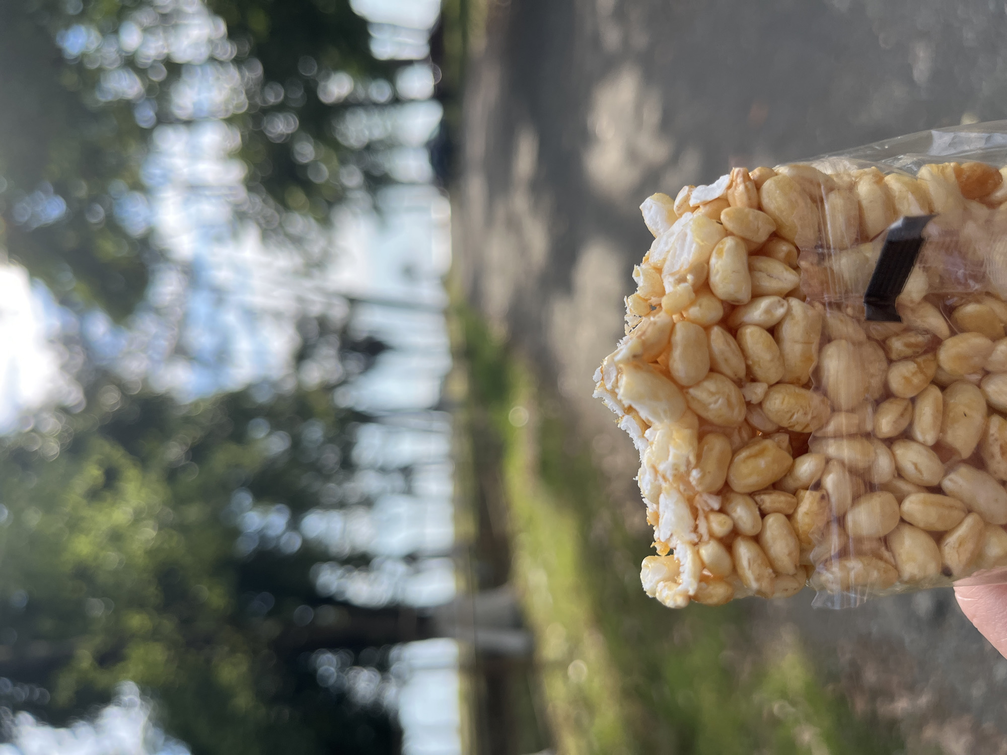 The image shows a close-up of a snack bar made of puffed rice, held in a clear plastic wrapper by a person's finger and thumb. The snack bar is light brown and appears to be held at an angle. In the background, there is a blurred scene of trees and a body of water, possibly the sea, under a bright sky. The overall lighting suggests it is daytime, likely sunny, with some dappled light filtering through the trees, creating bokeh effects in the background. The setting appears to be outdoors, possibly near a beach or park, given the presence of trees and water. There is no visible text in the image. The focus is primarily on the snack bar, with the background serving as a soft, out-of-focus backdrop.