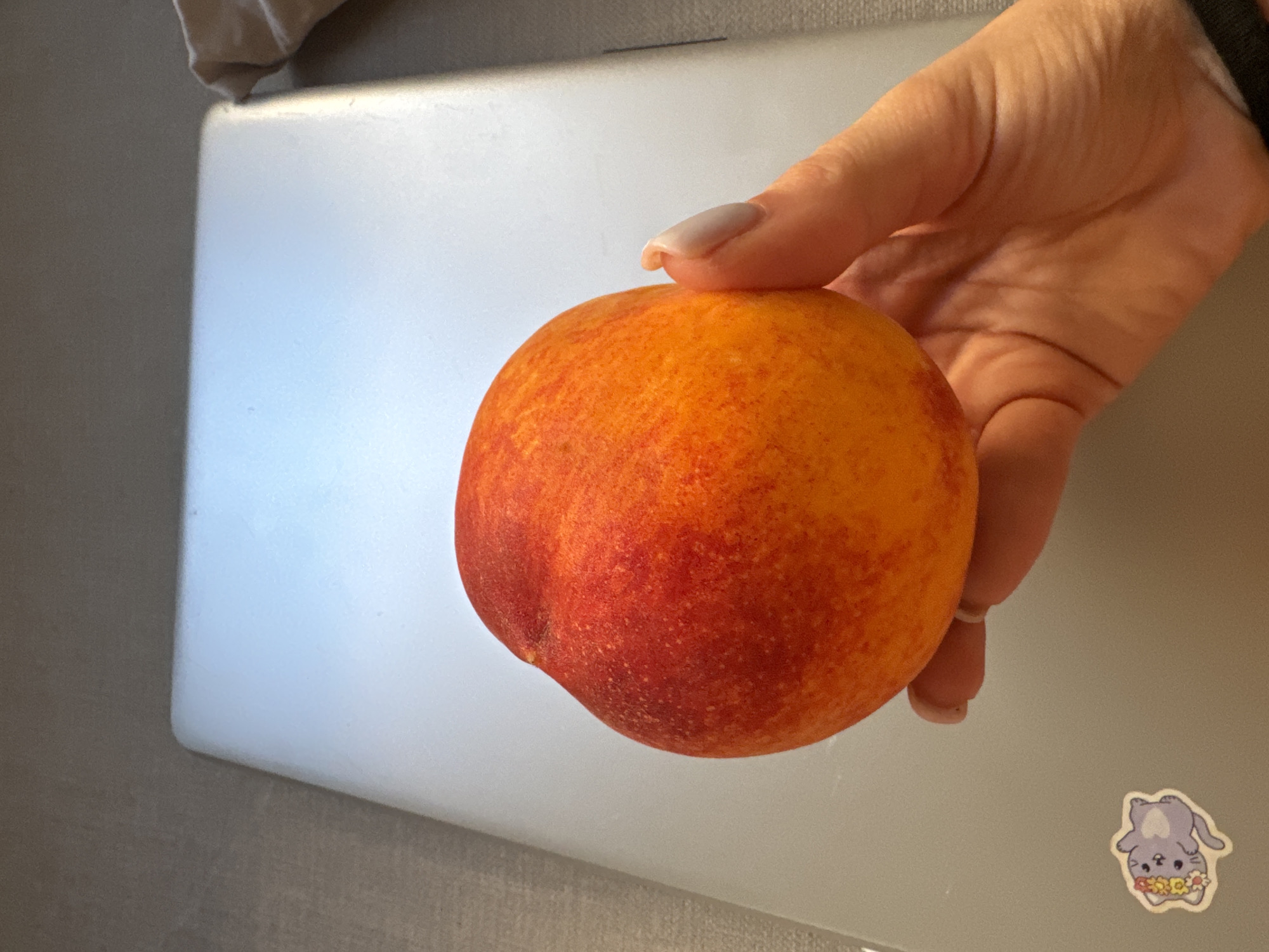 A close-up, overhead shot shows a person's hand holding a ripe peach, which is predominantly orange with red blush. The peach rests on a silver laptop, which is positioned on a gray surface that appears to be a table or desk. A small, cartoonish sticker of a purple cat wearing a flower crown is visible on the lower left corner of the laptop. The background is blurred and indistinct, suggesting an indoor setting. There is no discernible connection to Murcia, Spain.